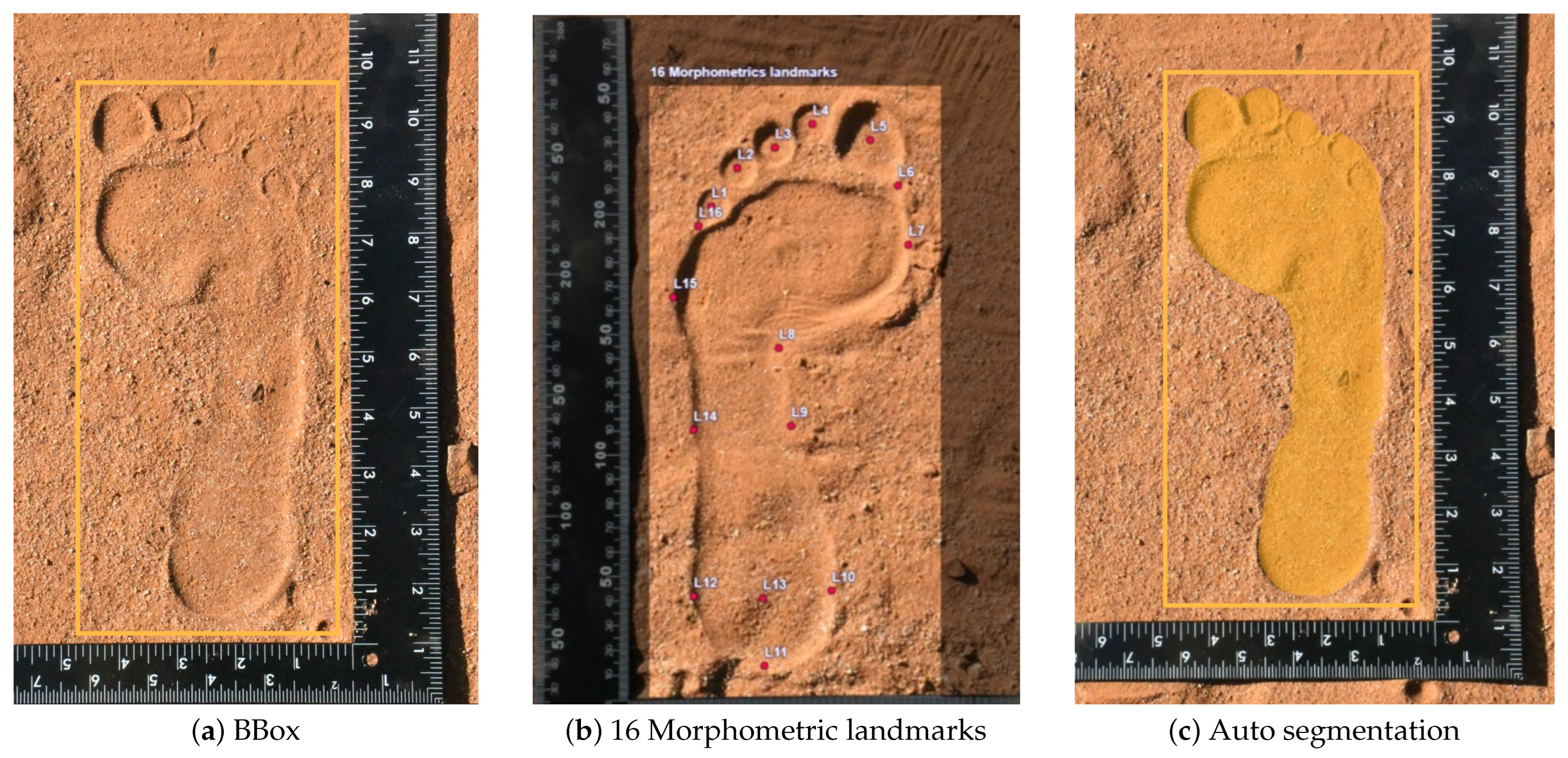 Forensicsci 05 00056 g003 Forensicsci 05 00056 g003
