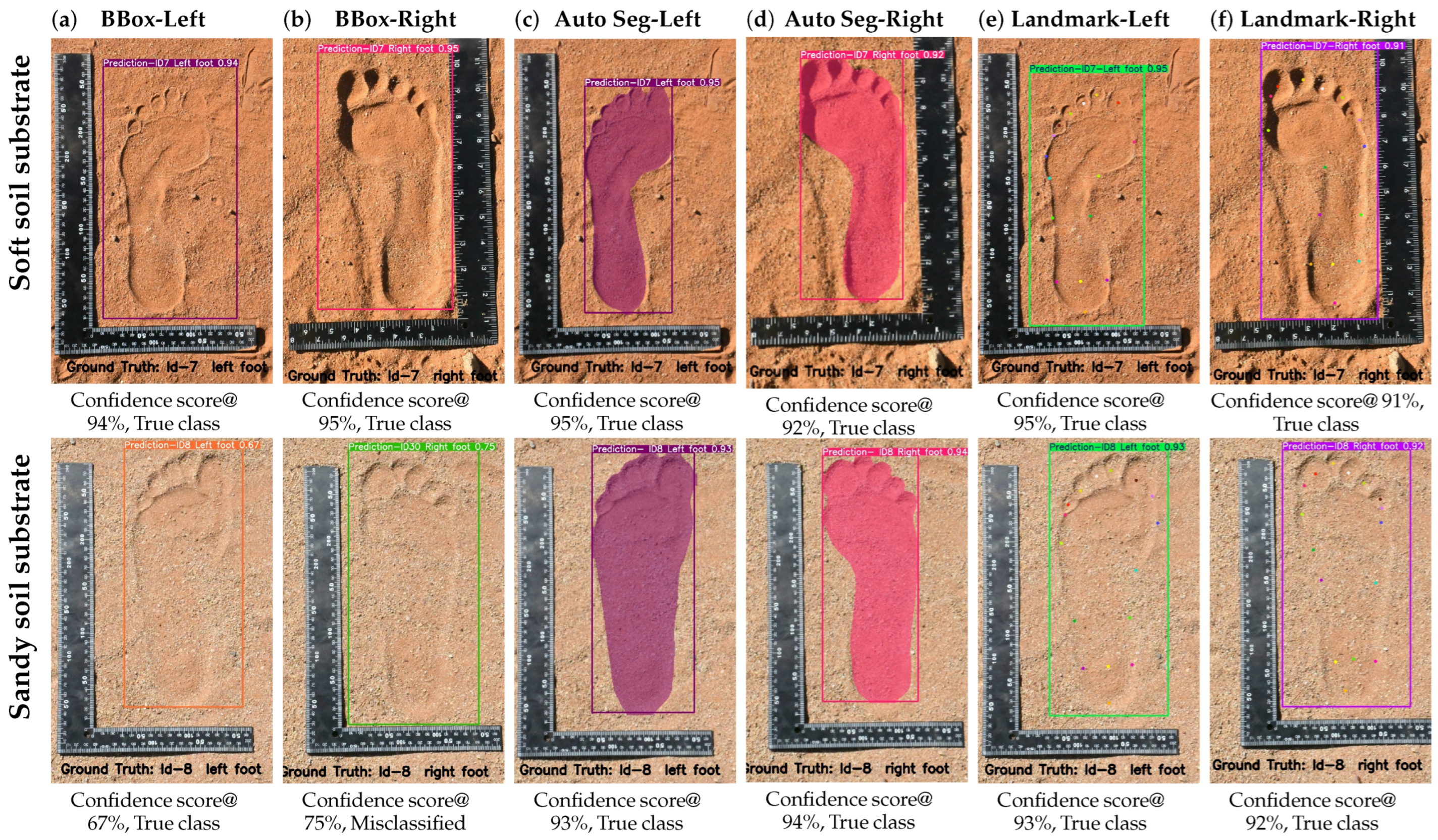 Forensicsci 05 00056 g011 Forensicsci 05 00056 g011