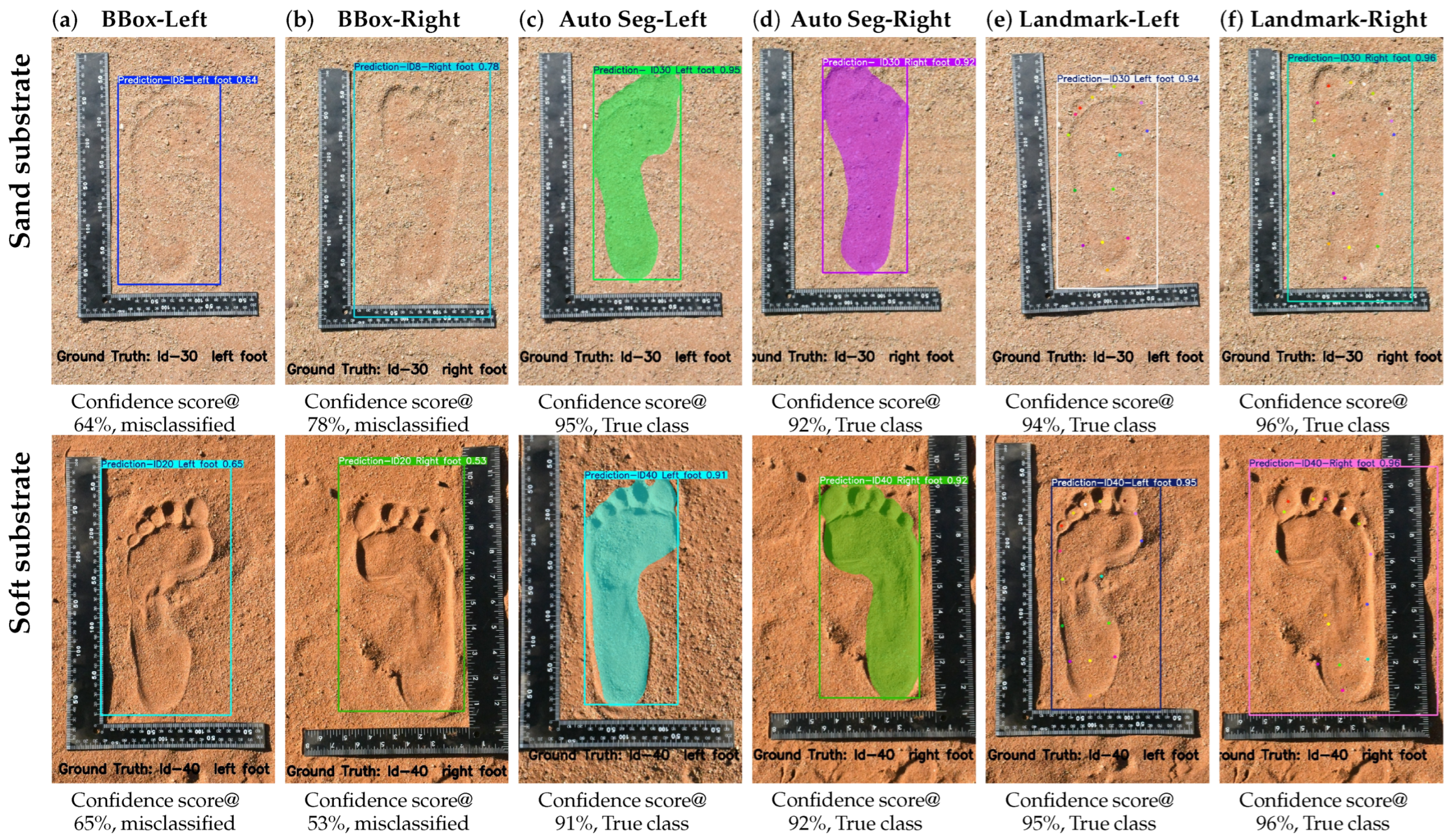 Forensicsci 05 00056 g012 Forensicsci 05 00056 g012