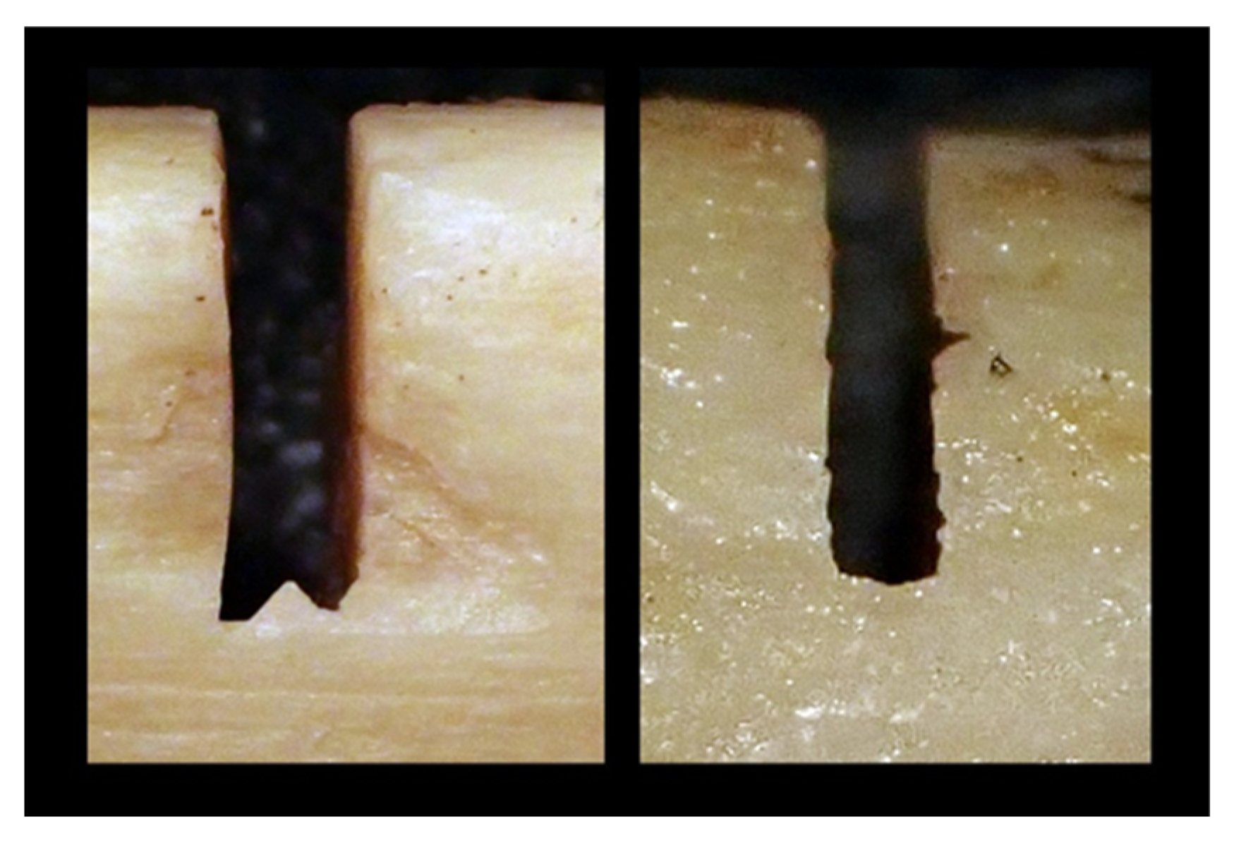 Forensicsci 05 00057 g001 Forensicsci 05 00057 g001