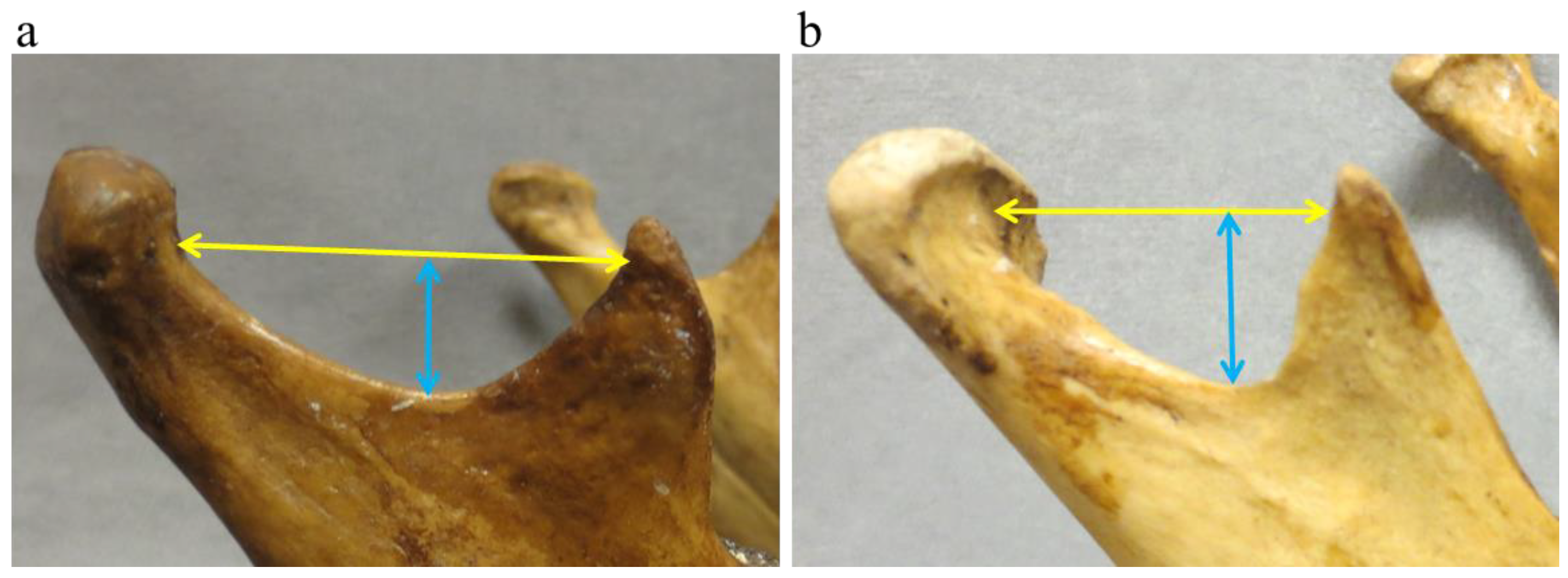 Forensicsci 05 00060 g003 Forensicsci 05 00060 g003