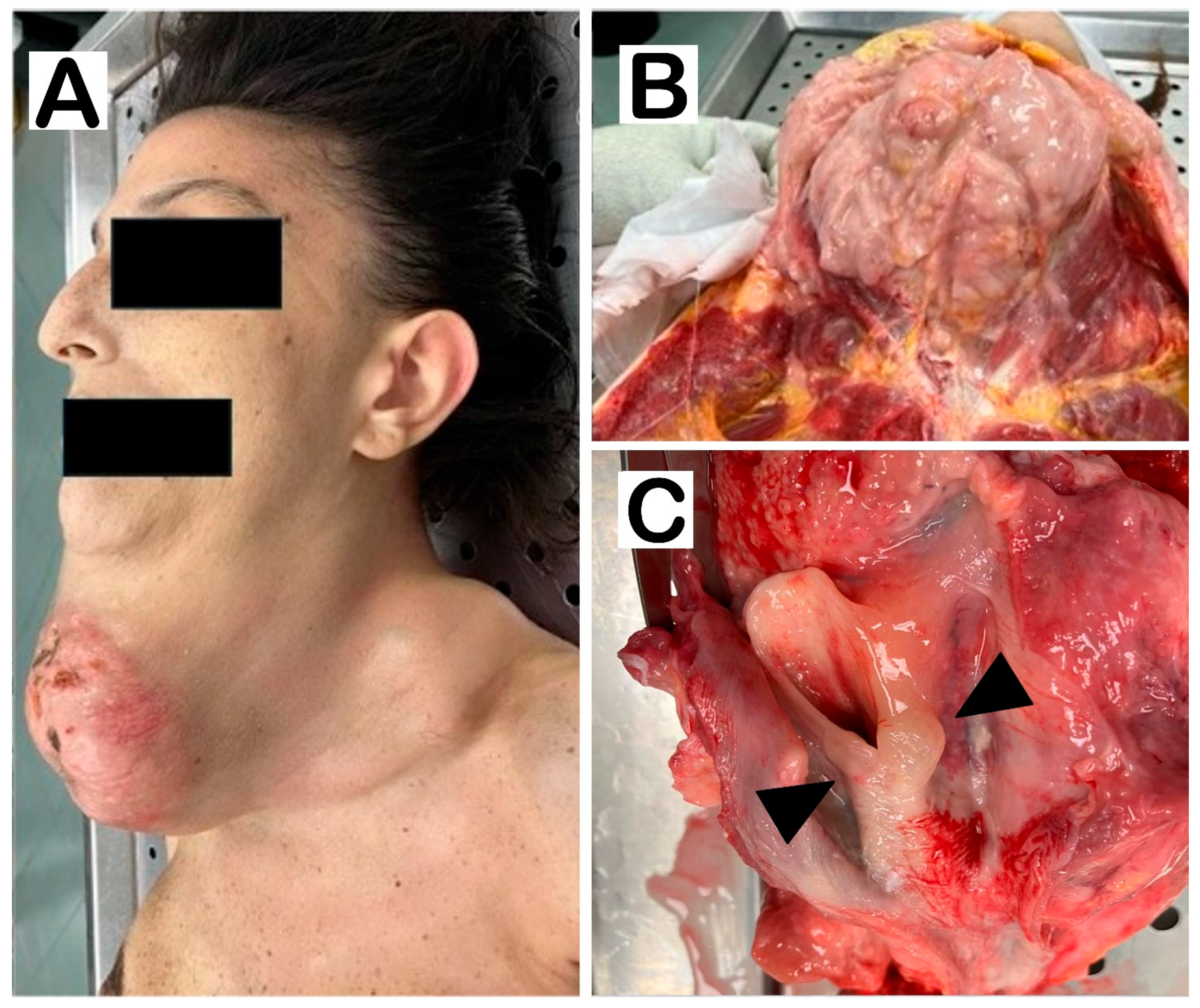 Forensicsci 05 00061 g001