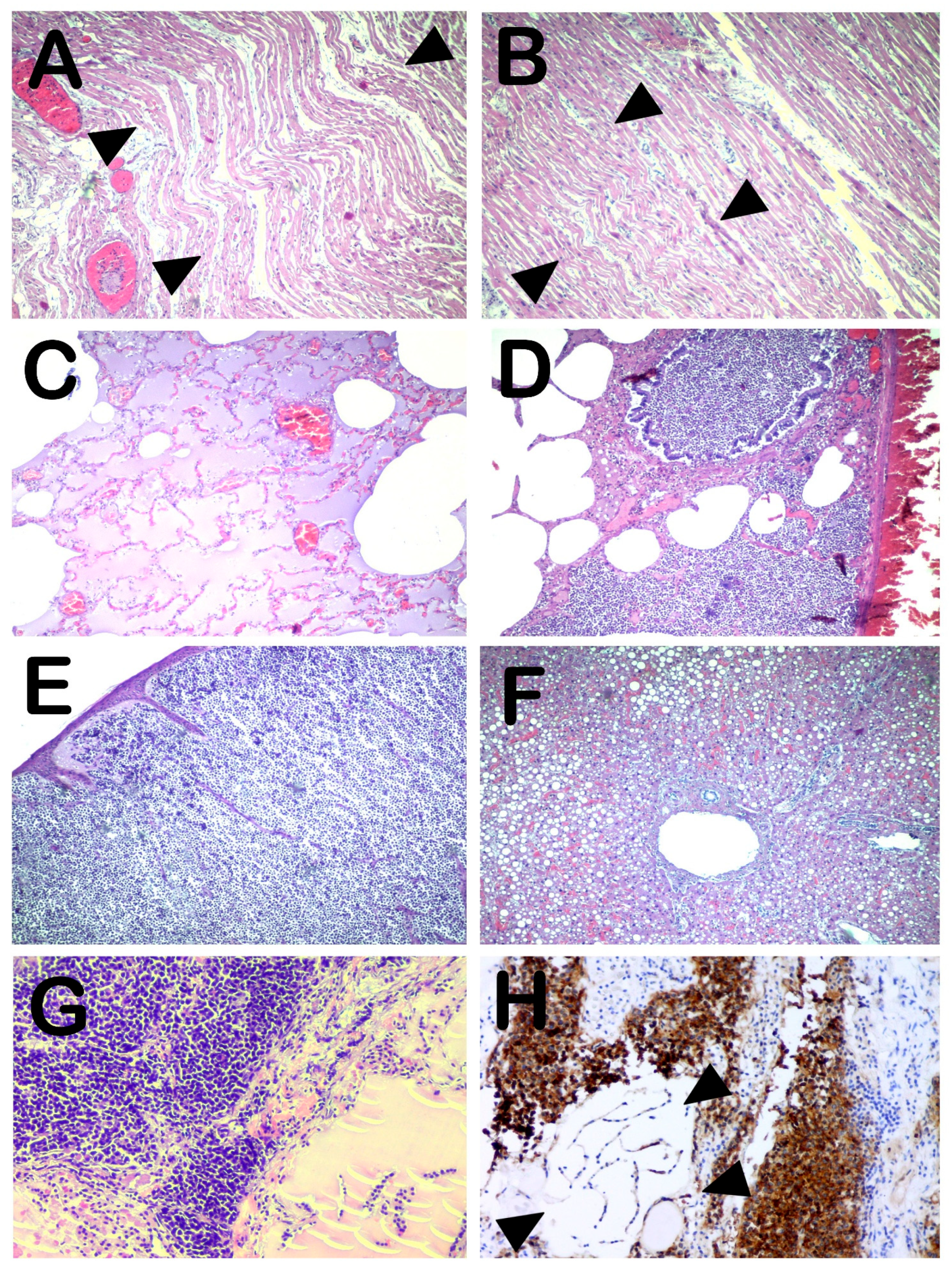 Forensicsci 05 00061 g002