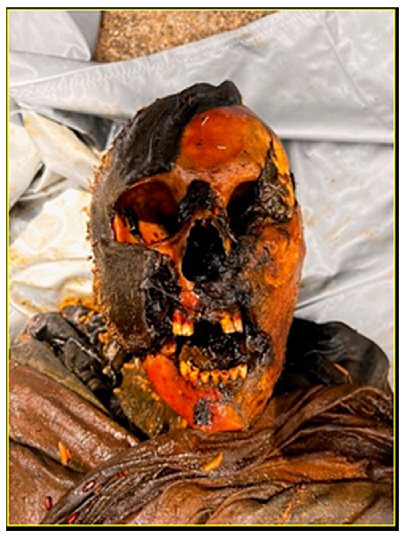 Forensicsci 05 00067 g001