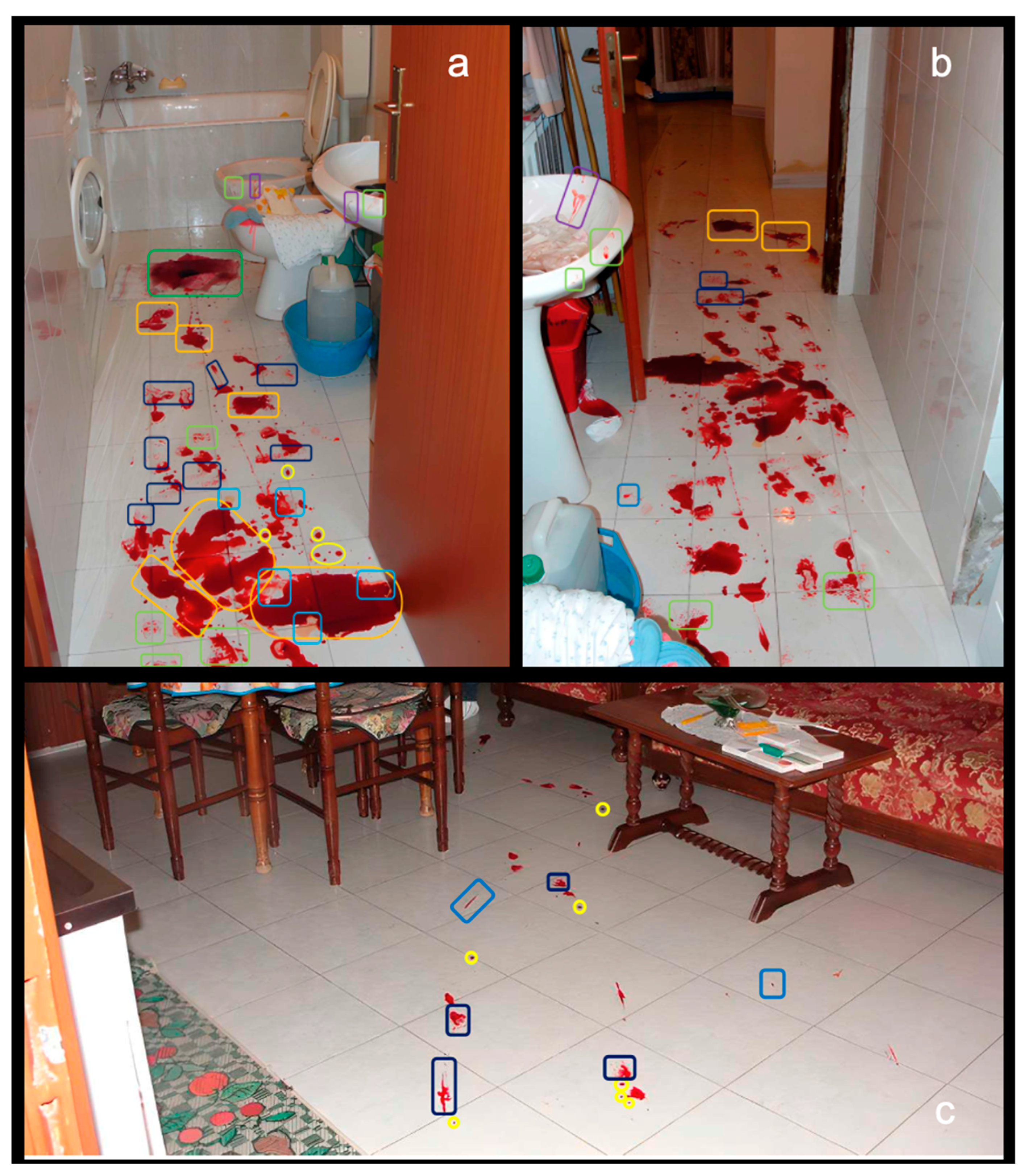 Forensicsci 05 00070 g002