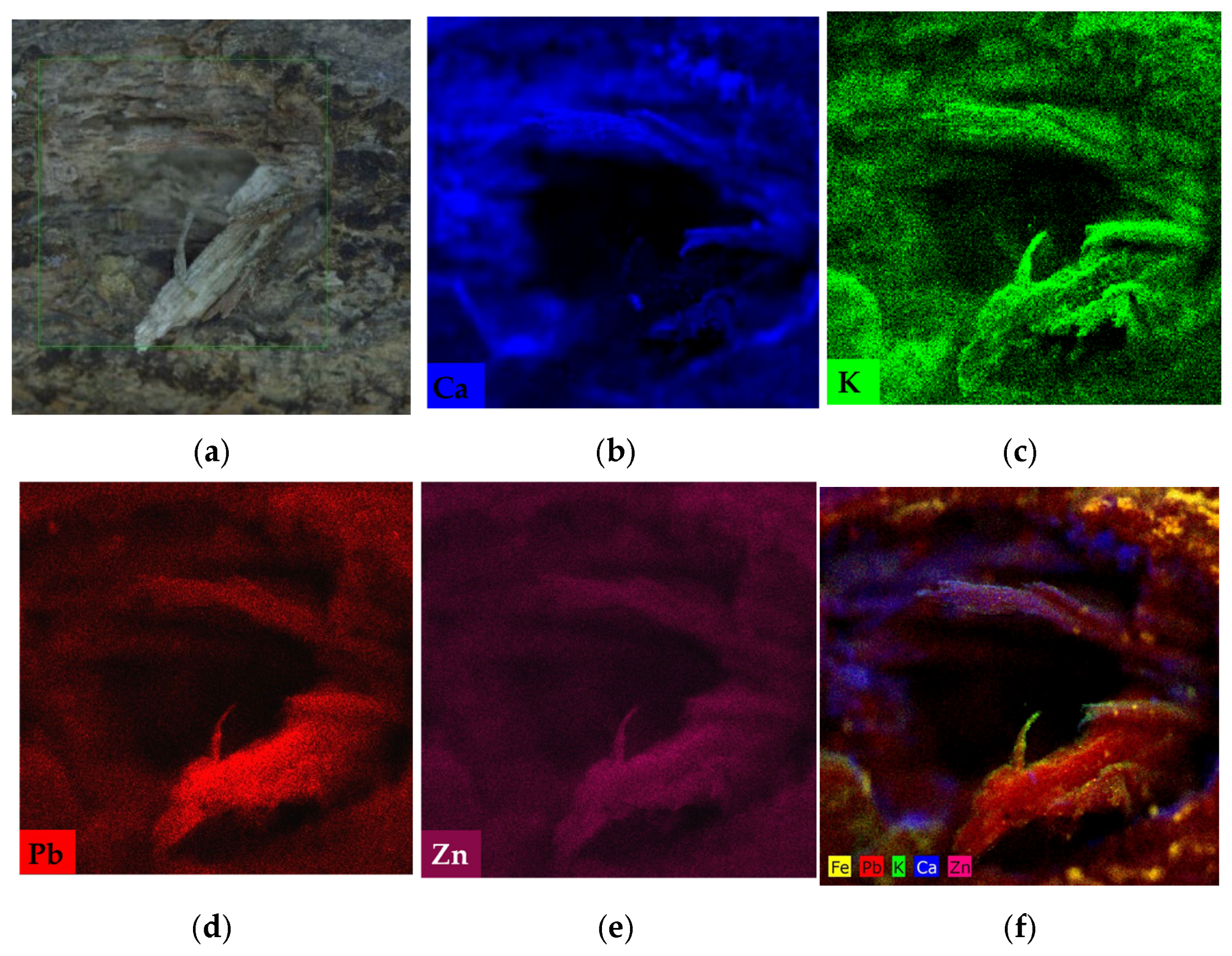 Forensicsci 06 00011 g004 Forensicsci 06 00011 g004