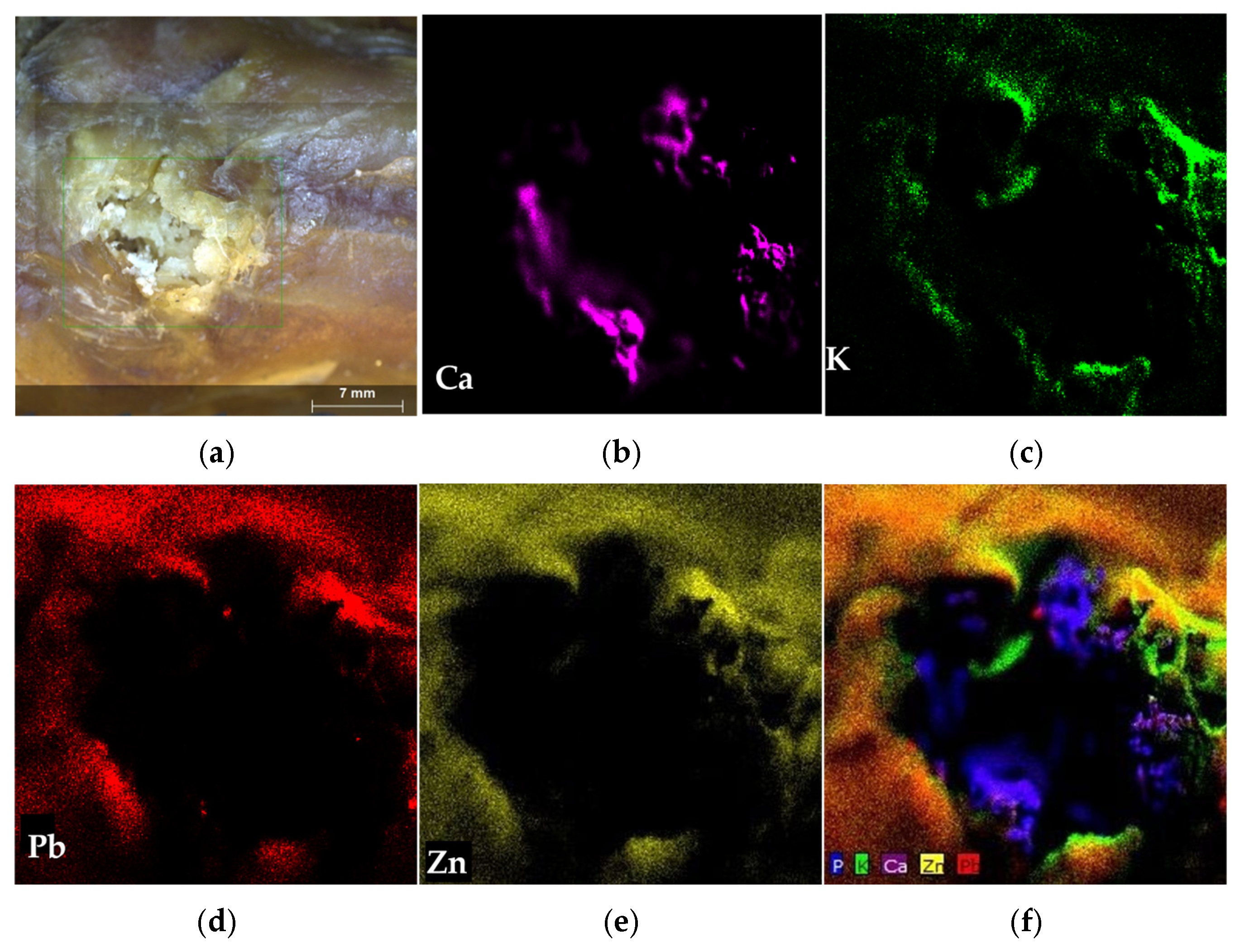 Forensicsci 06 00011 g006 Forensicsci 06 00011 g006
