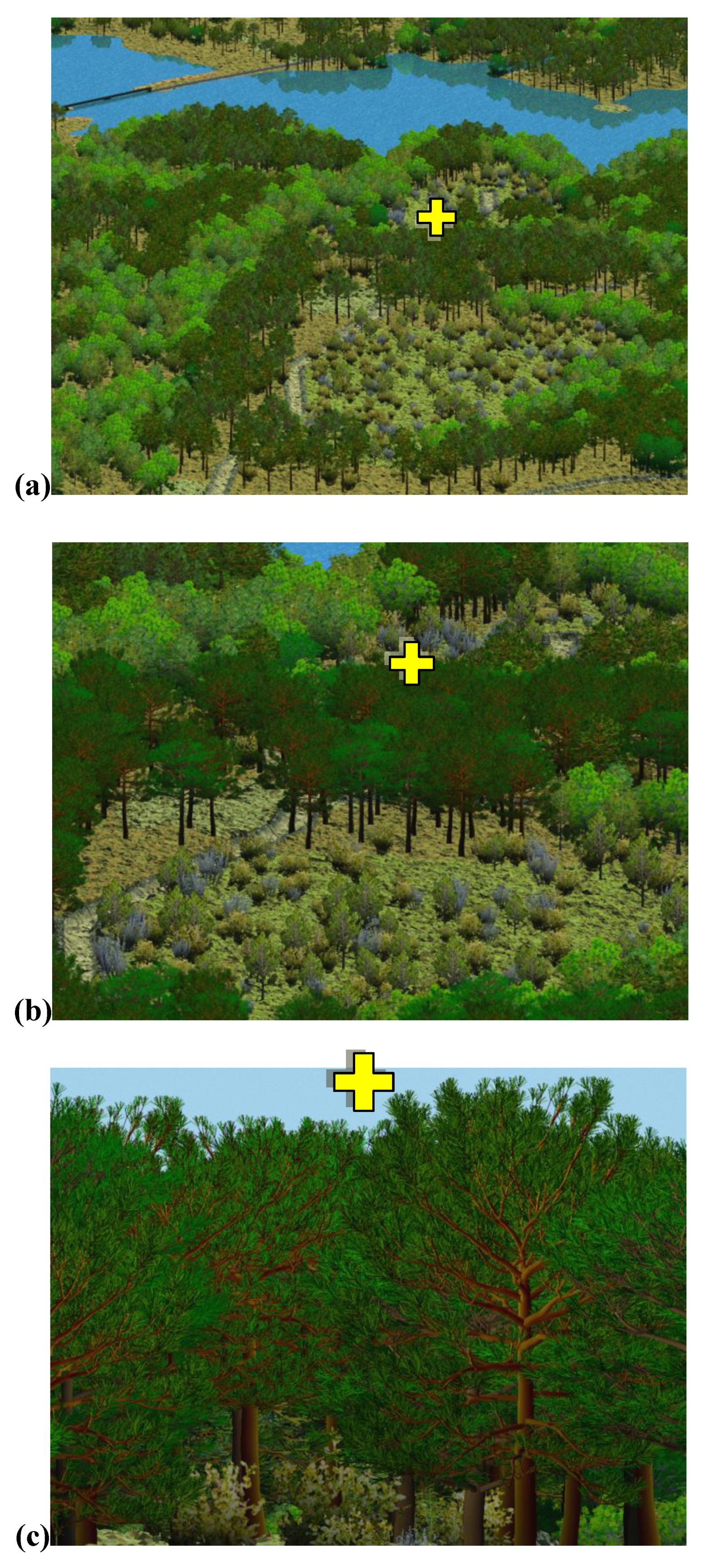 Forests 01 00082 g002 1024