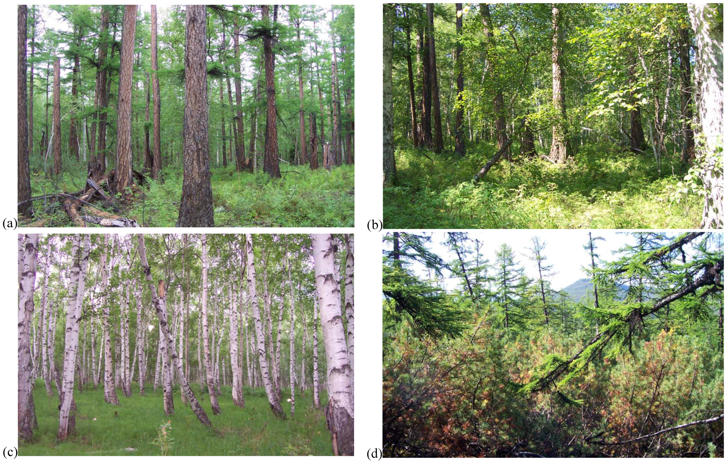 Forests 01 00154 g002a