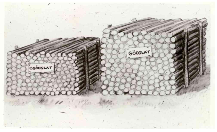 Forests 02 00112f2 1024