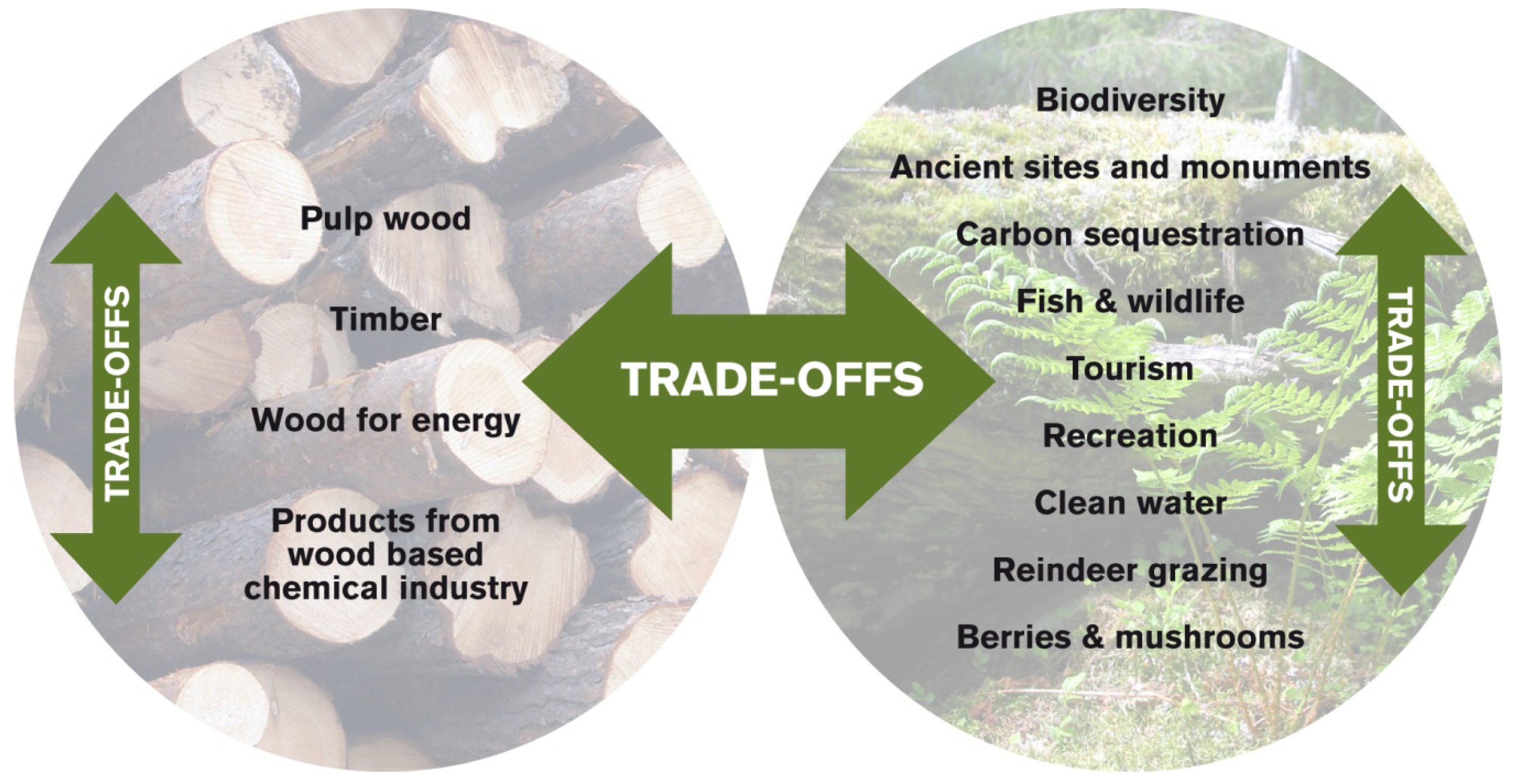 Forests 02 00631f1 1024