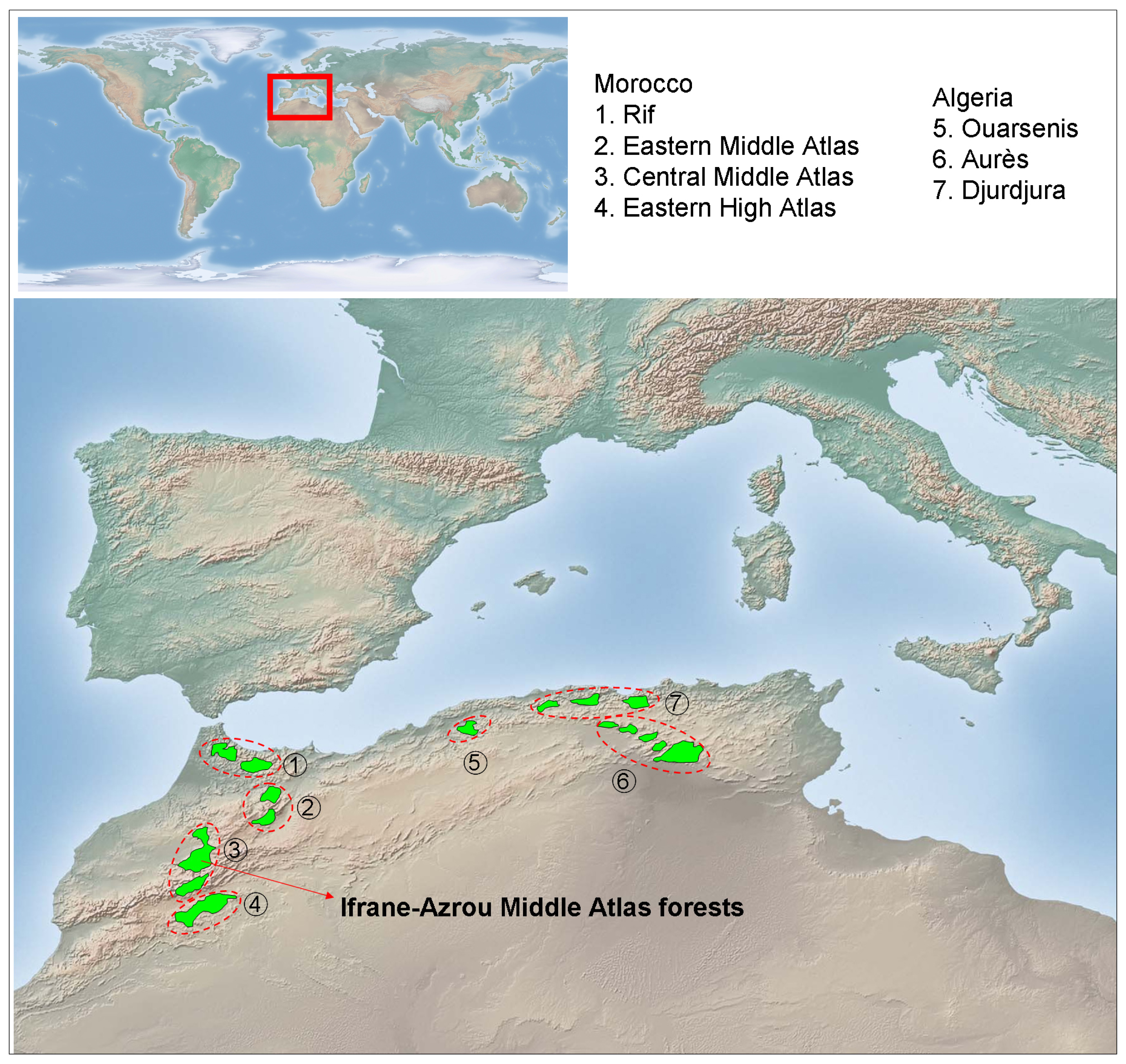 Forests 02 00777f1 1024