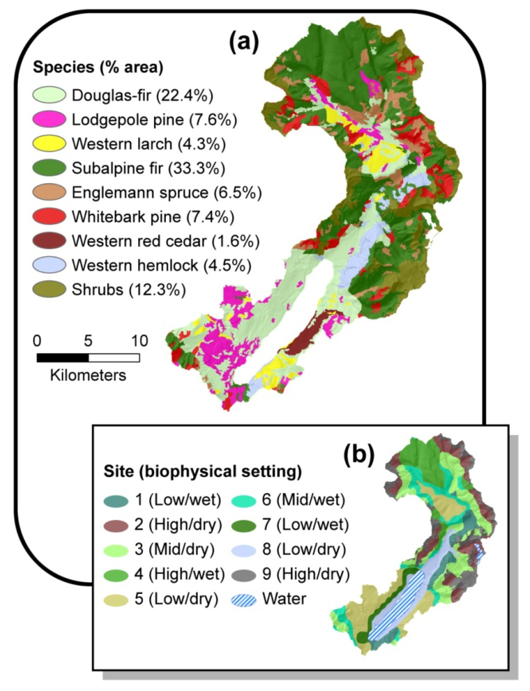 Forests 02 00832f5 1024