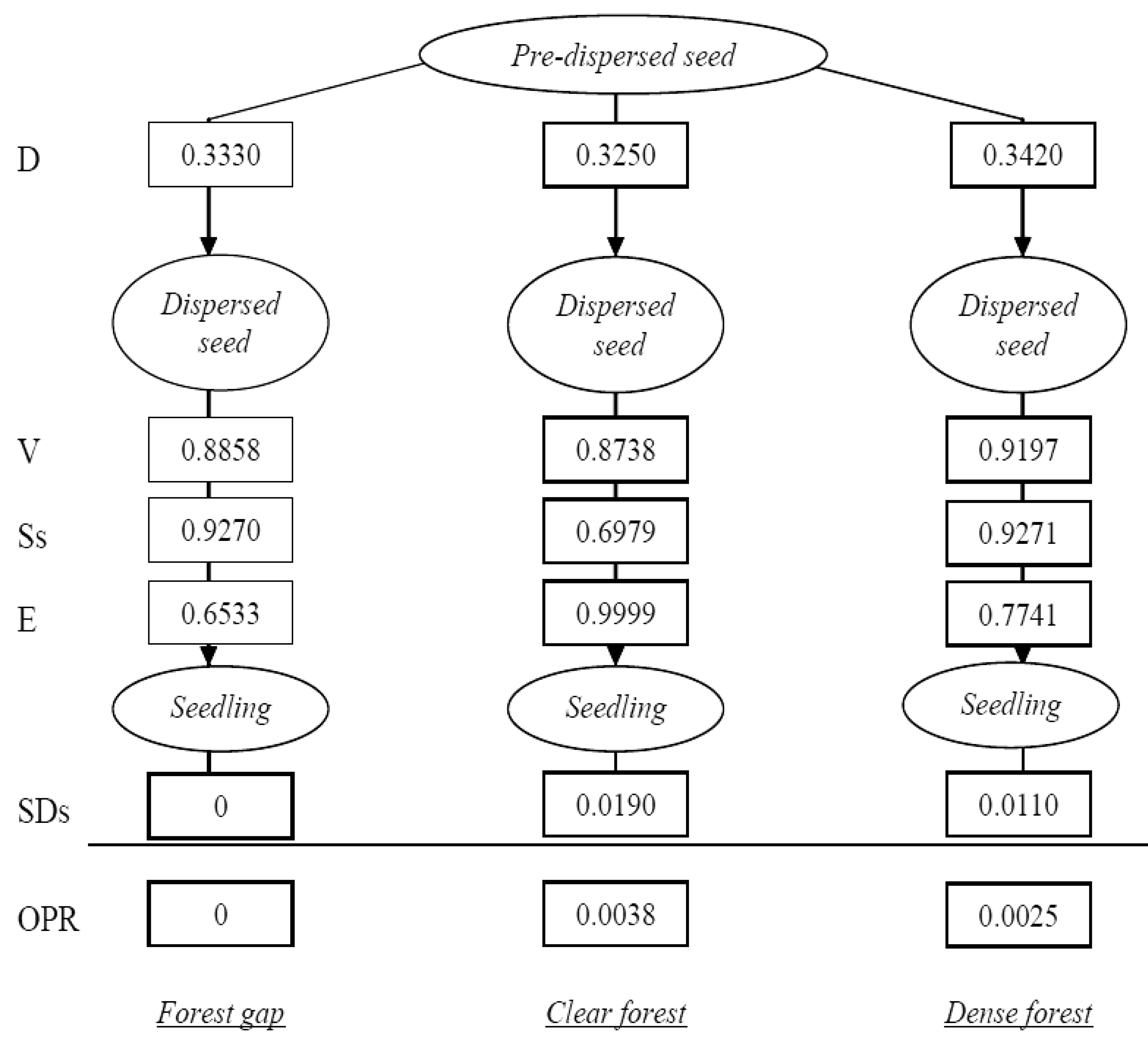 Forests 02 01013f3 1024