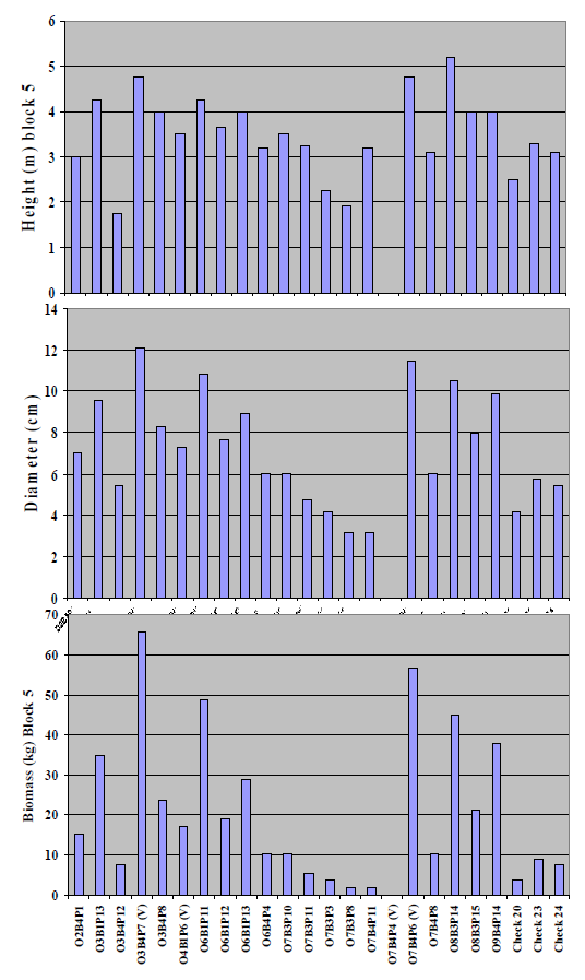 Forests 03 00095 g005 1024