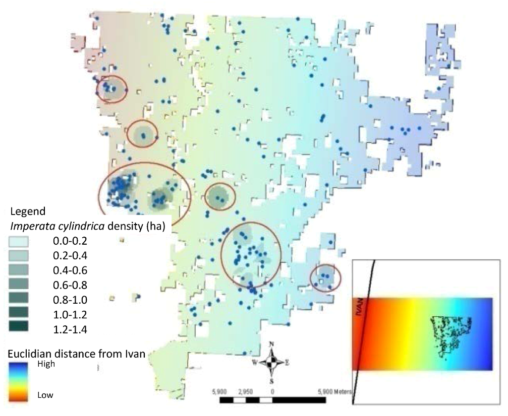 Forests 03 00853 g006 1024