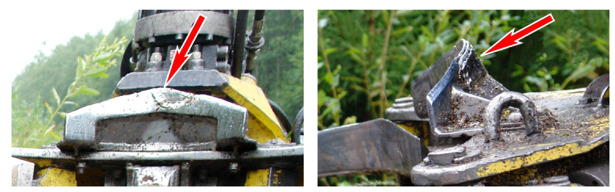 Forests 03 00864 g002 1024