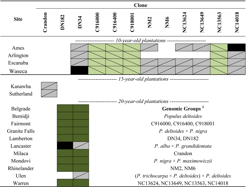 Forests 04 00251 i001