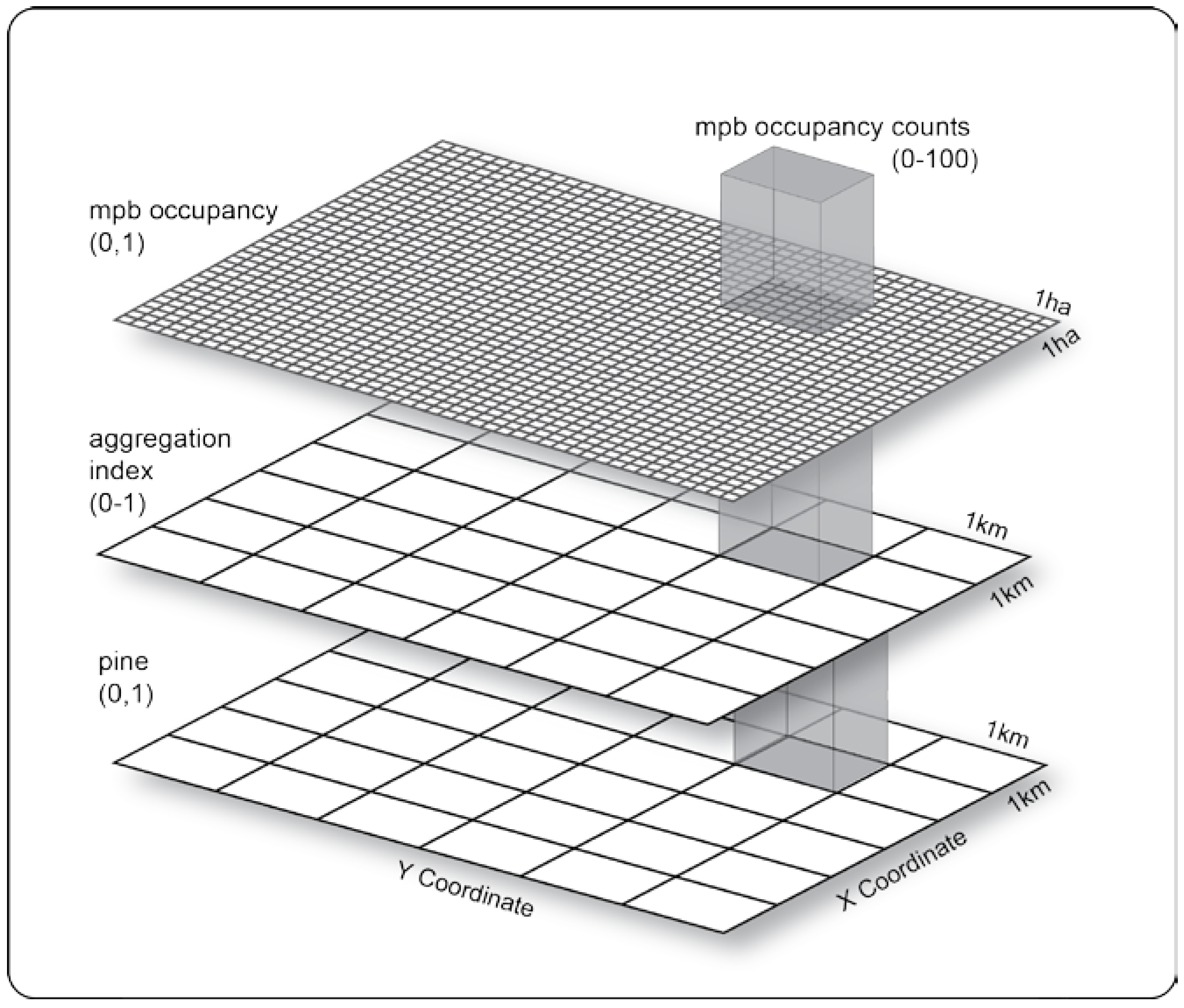 Modeling cold tolerance in the mountain pine beetle, Dendroctonus