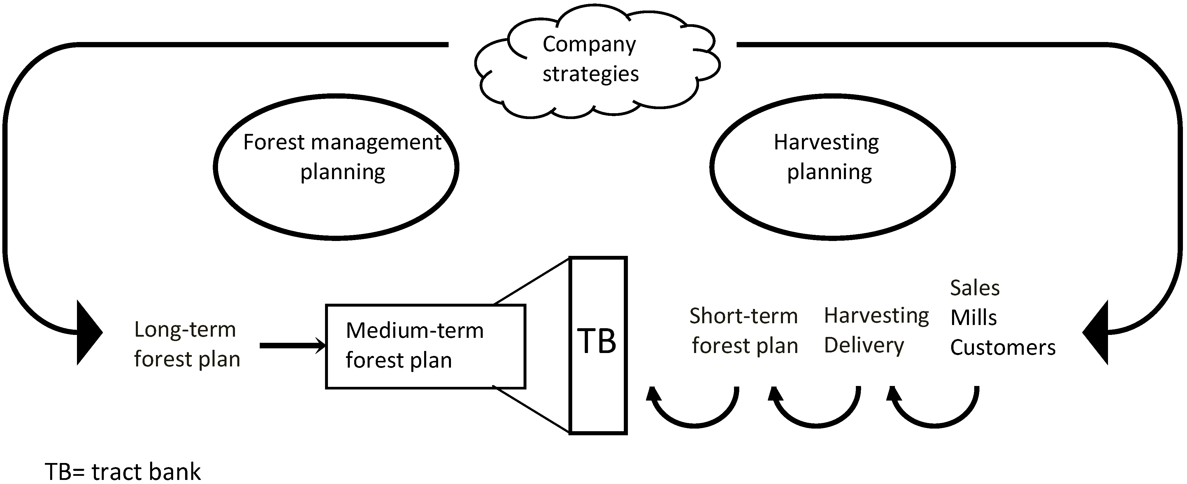 Forests 04 00553 g008 1024