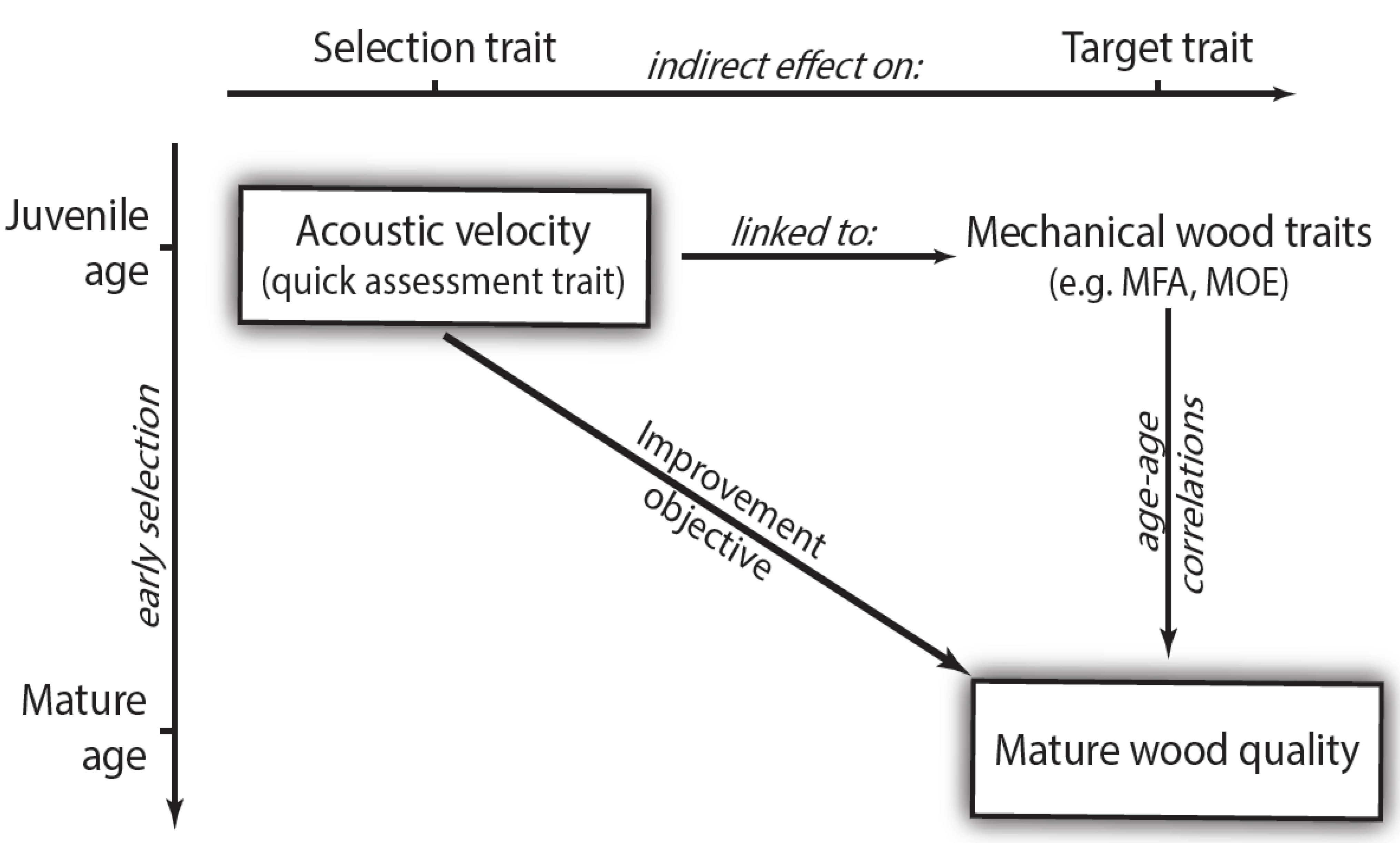 Forests 04 00575 g001 1024