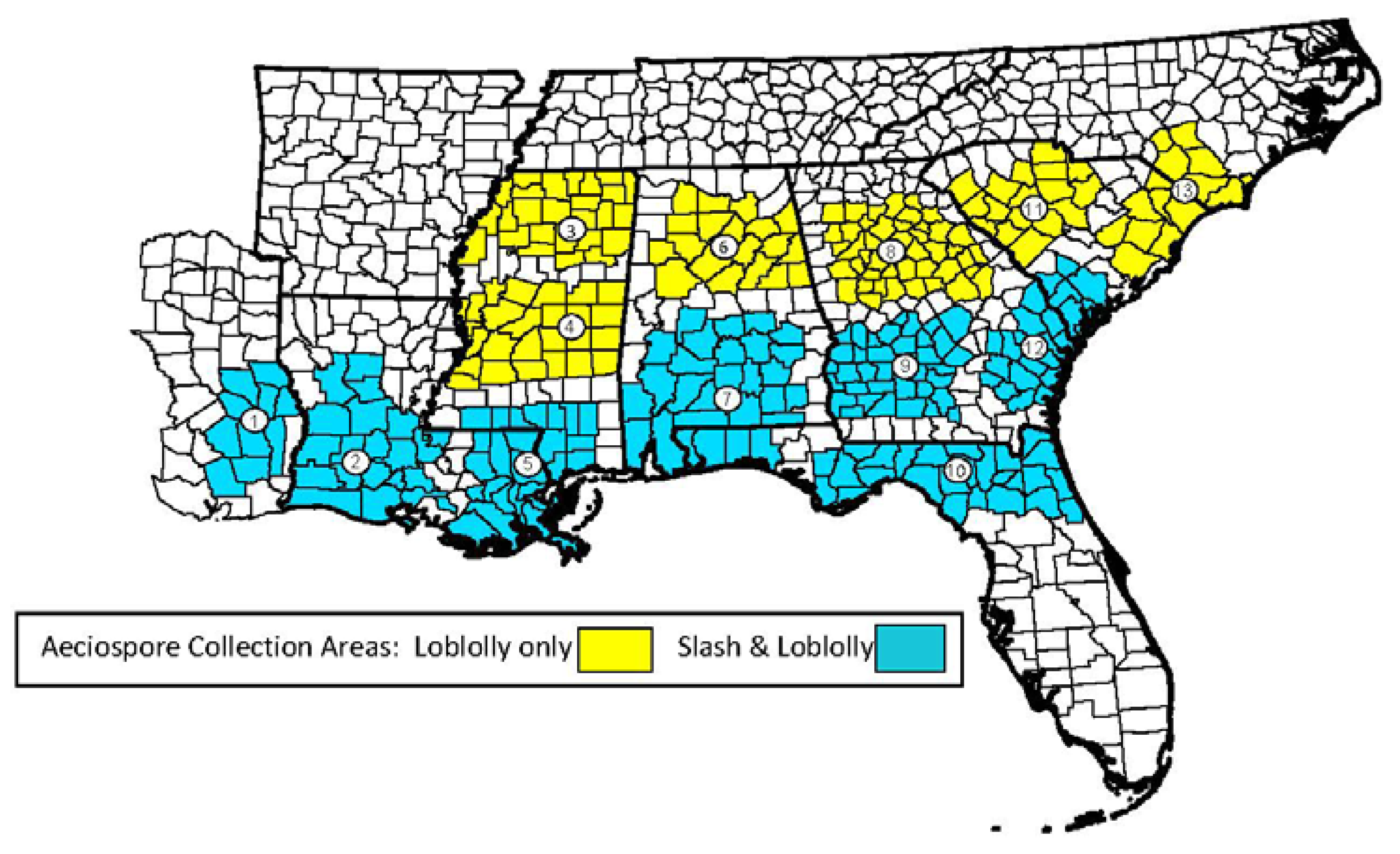 Forests 04 00666 g002 1024
