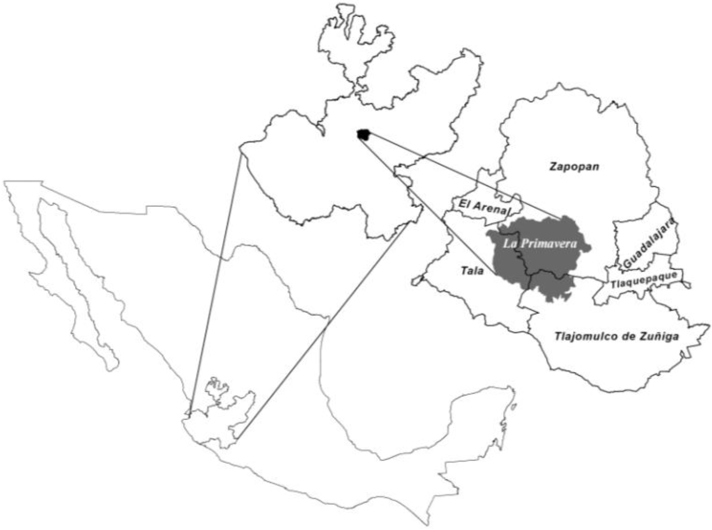 Forests 04 01032 g001