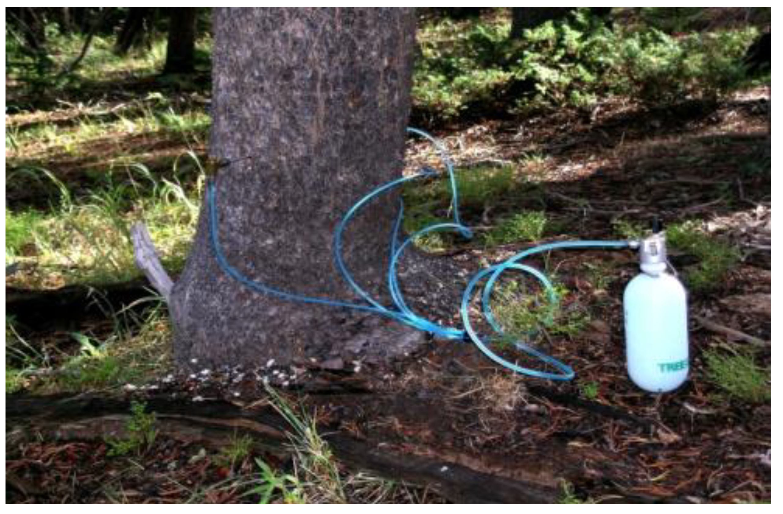 Forests 05 00021 g005 1024