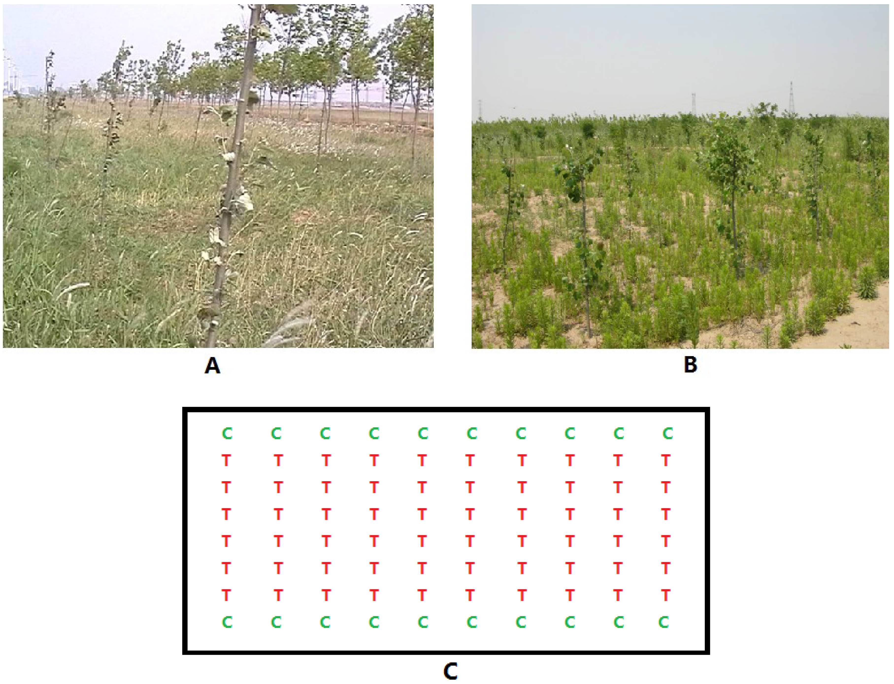 Forests 05 01106 g002