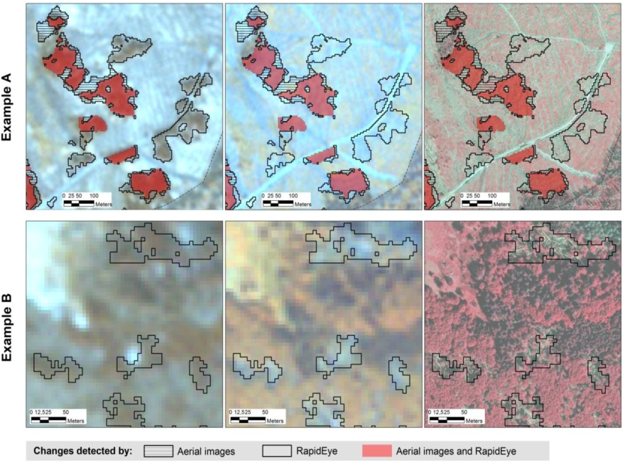 Forests 05 01284 g008 1024