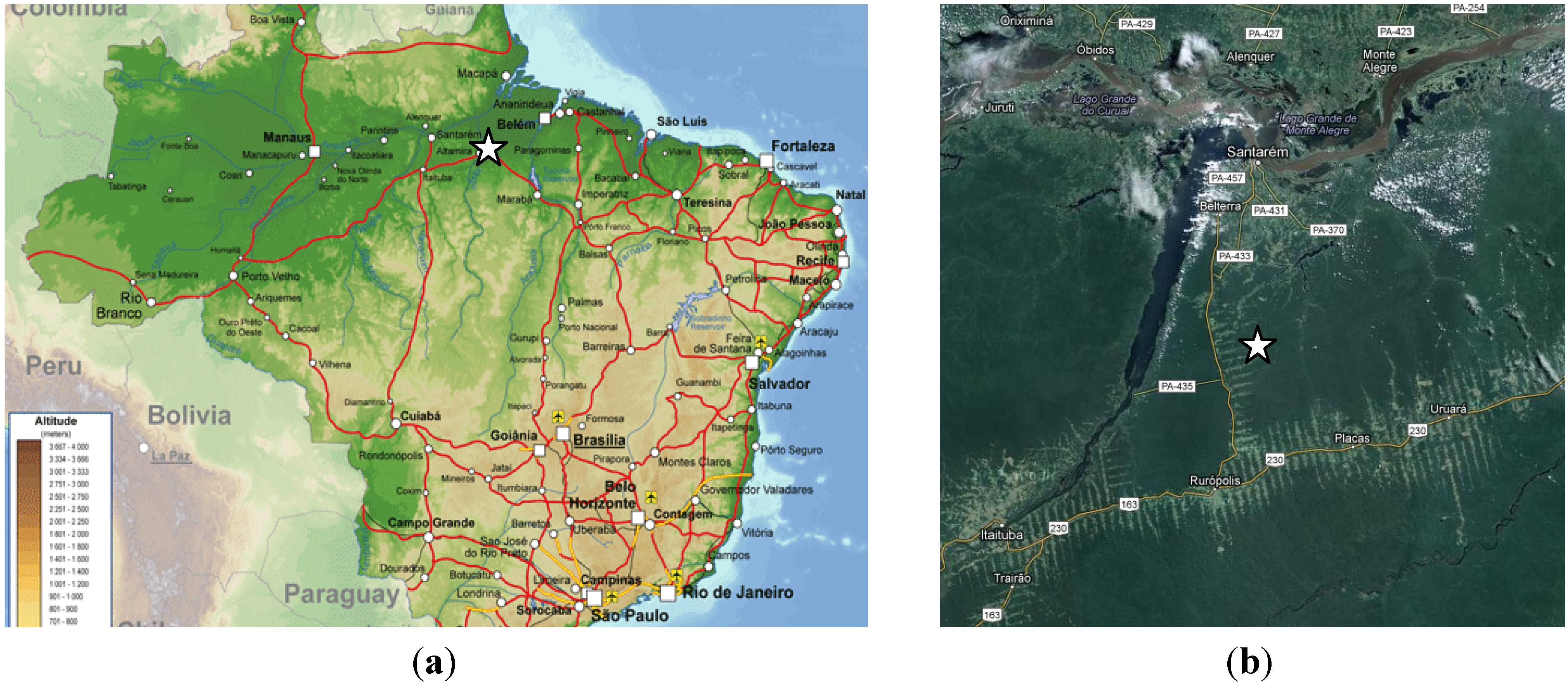 Forests 05 01508 g001