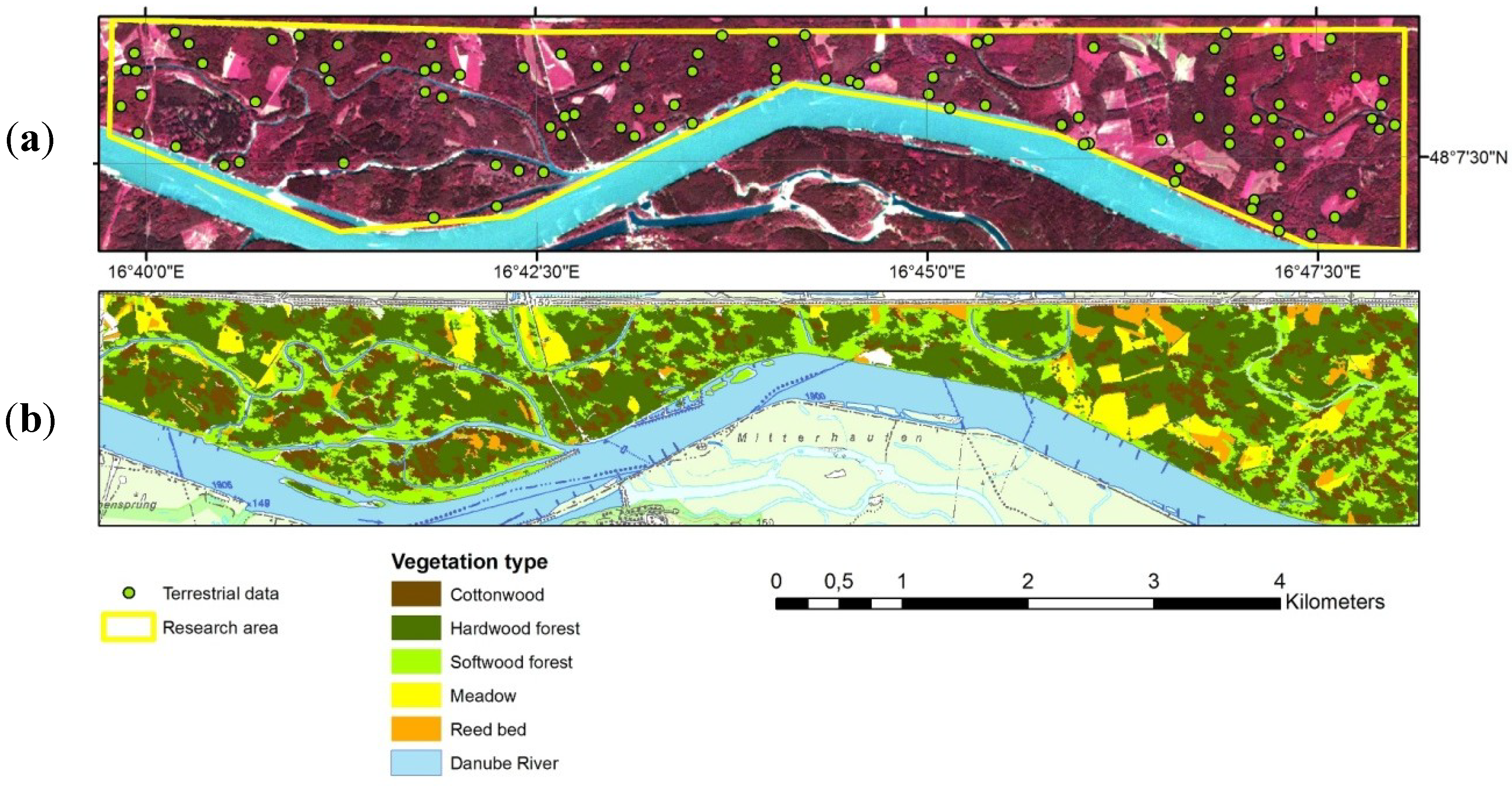 Forests 05 01635 g001
