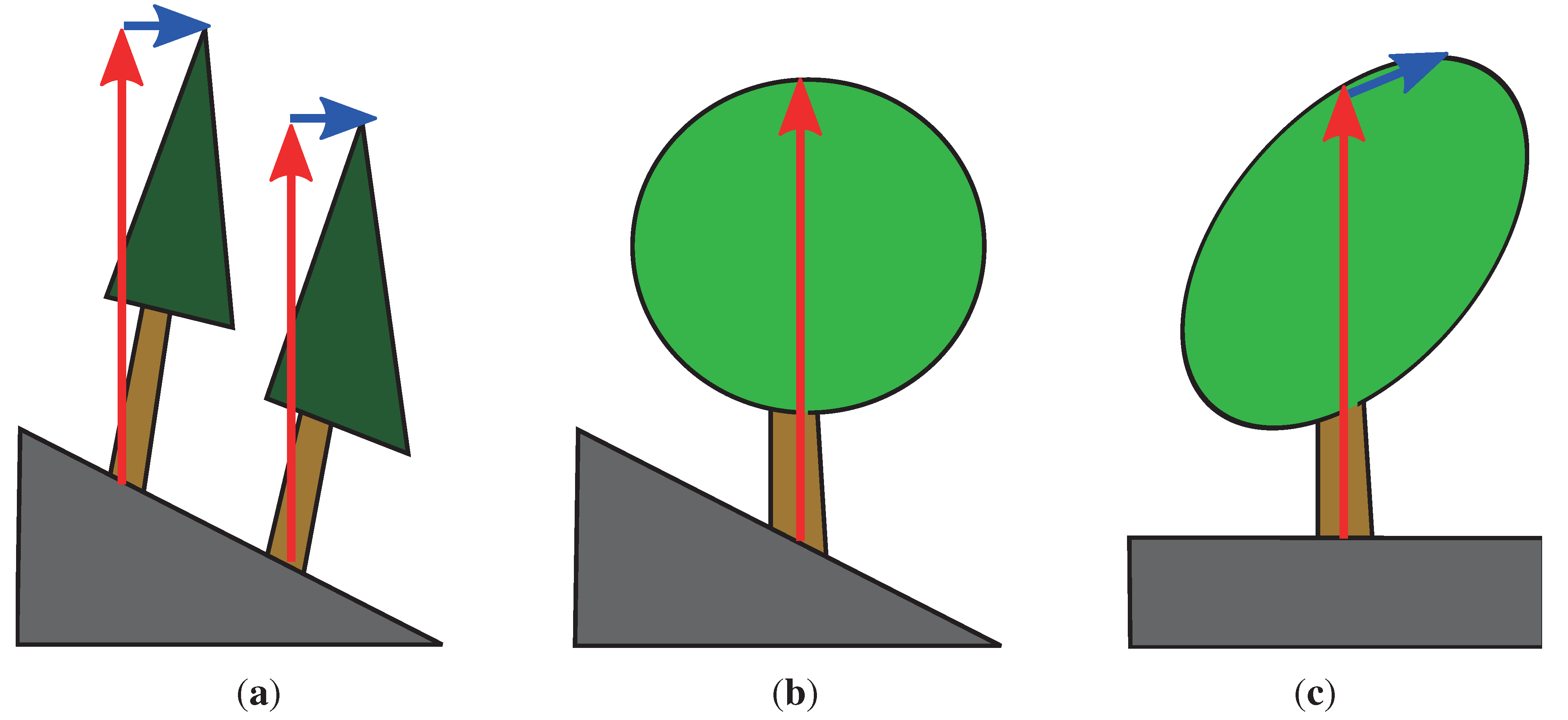 Forests 05 02307 g006