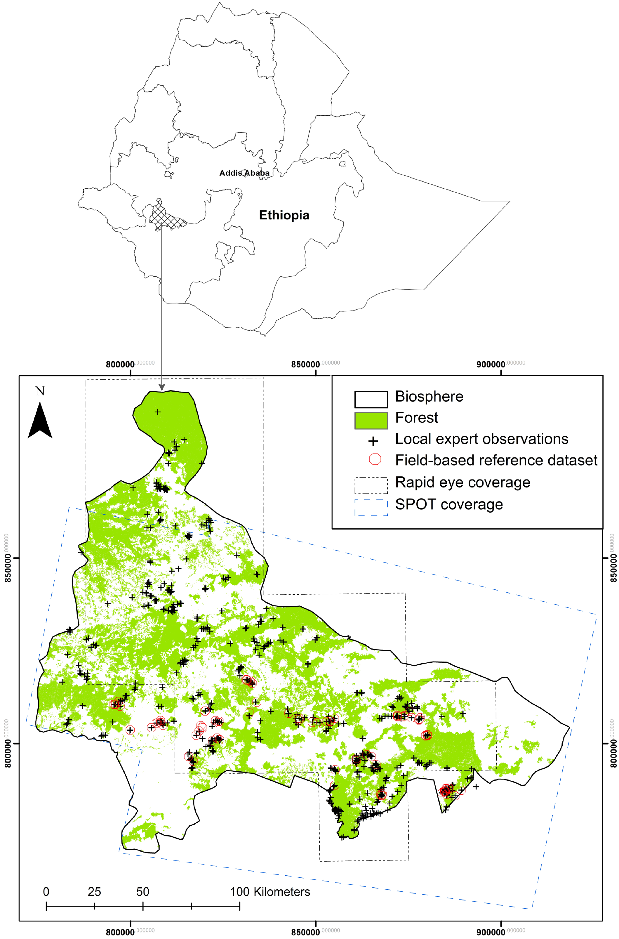Forests 05 02464 g001