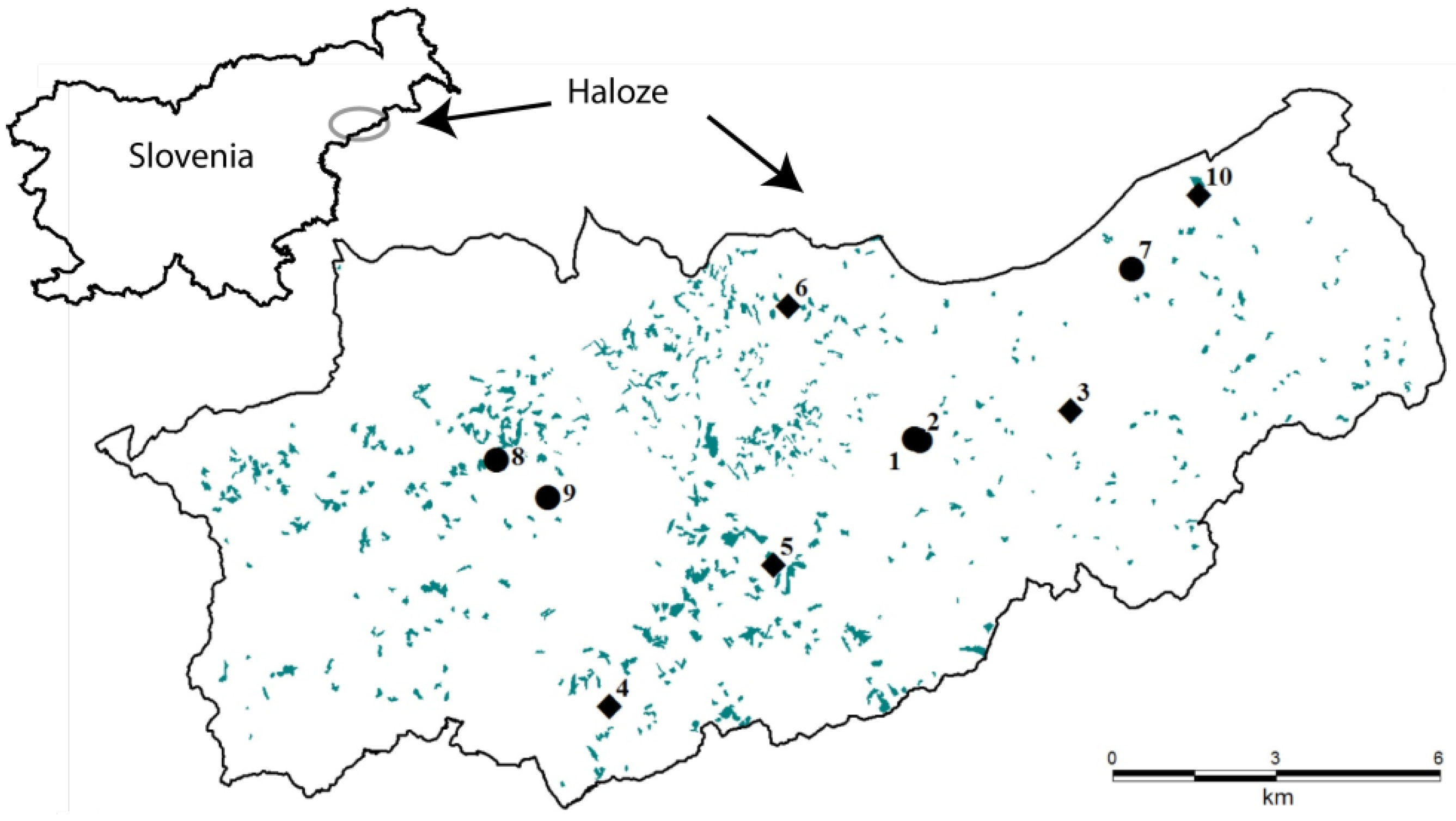 Forests 05 02658 g001