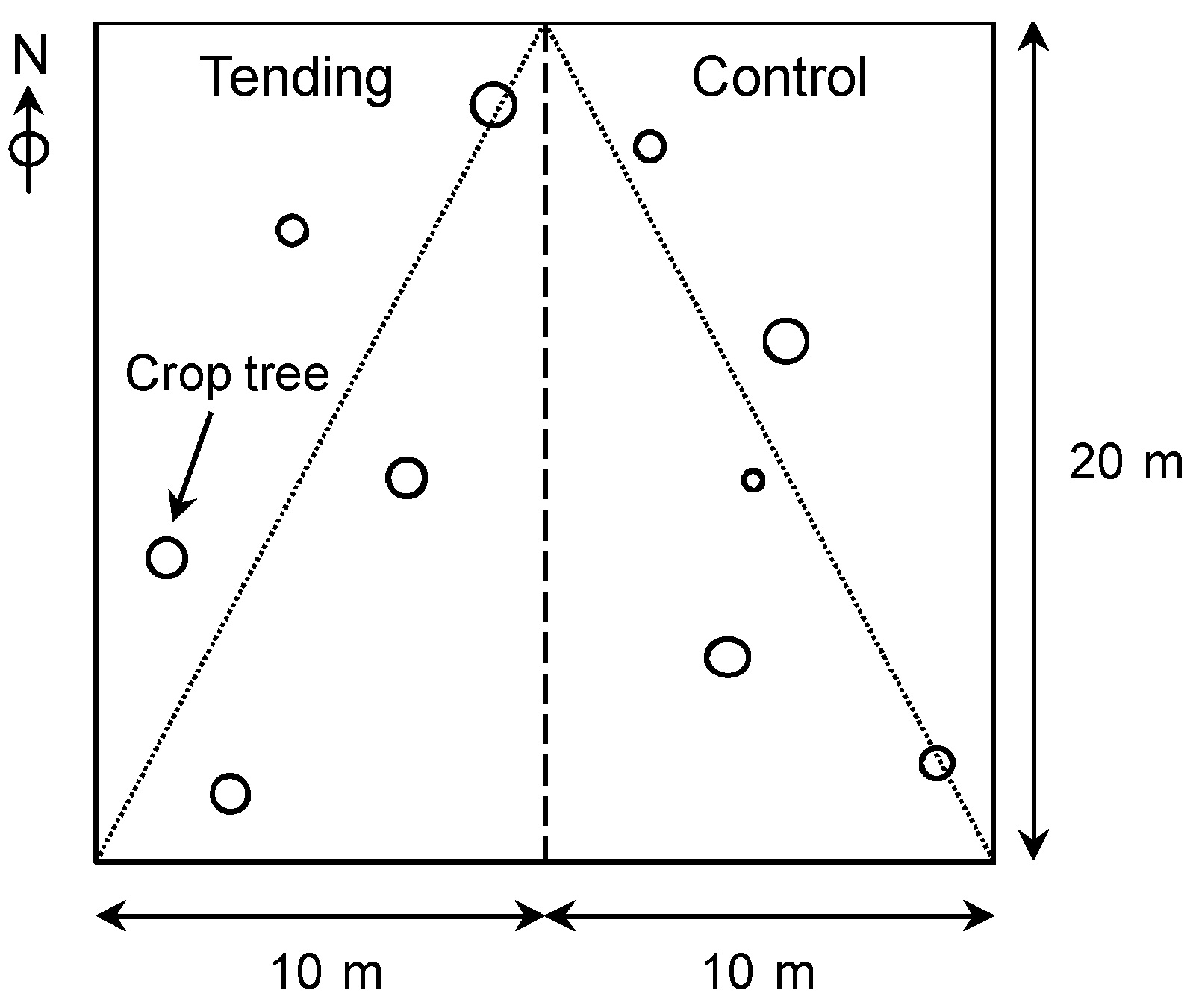 Forests 05 02658 g002
