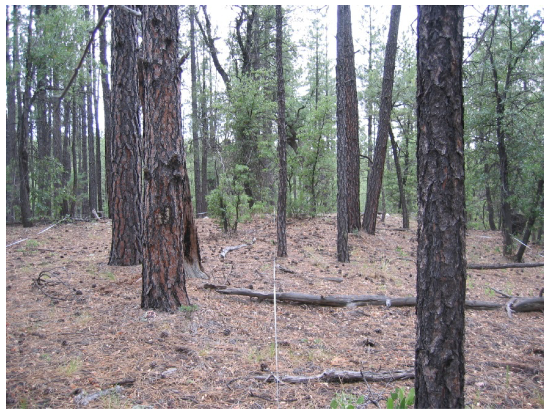 Forests 06 00613 g002 1024