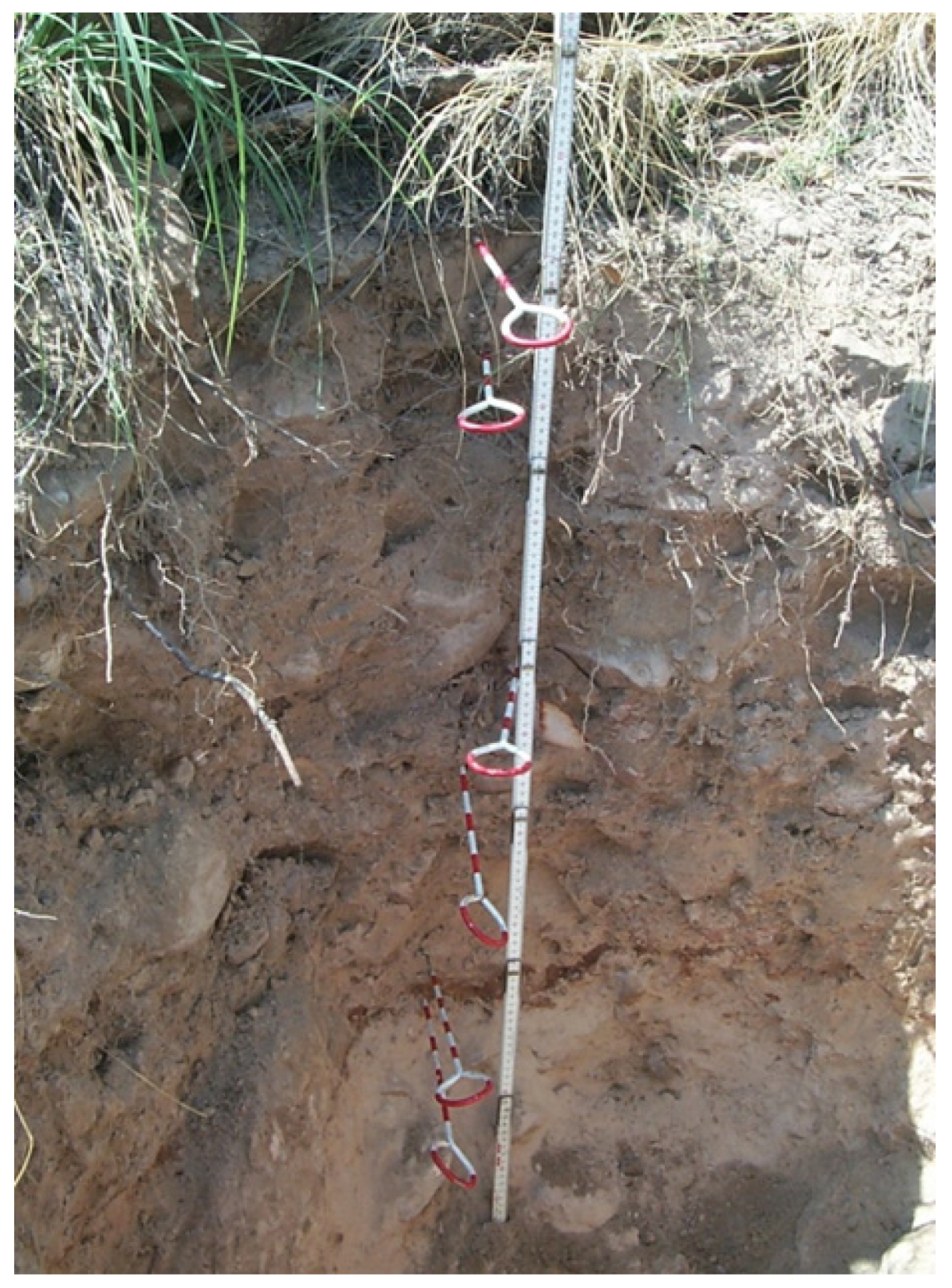 Forests 06 00613 g004 1024