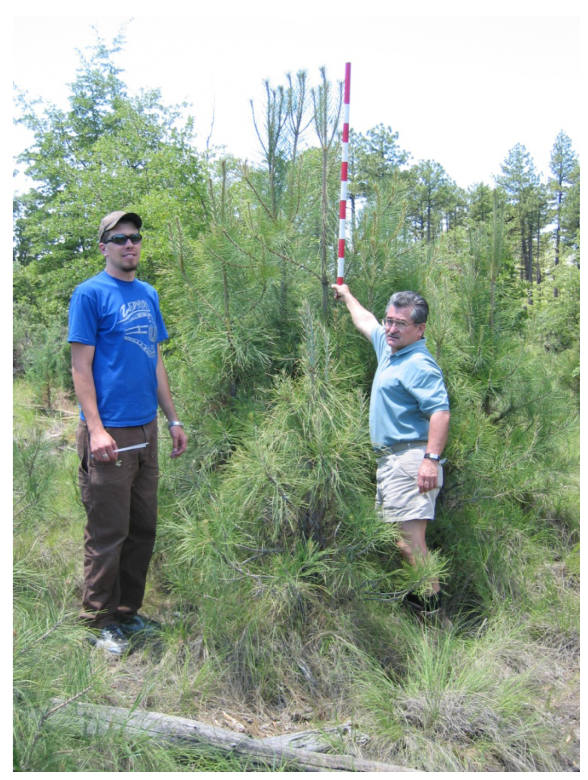 Forests 06 00613 g007 1024