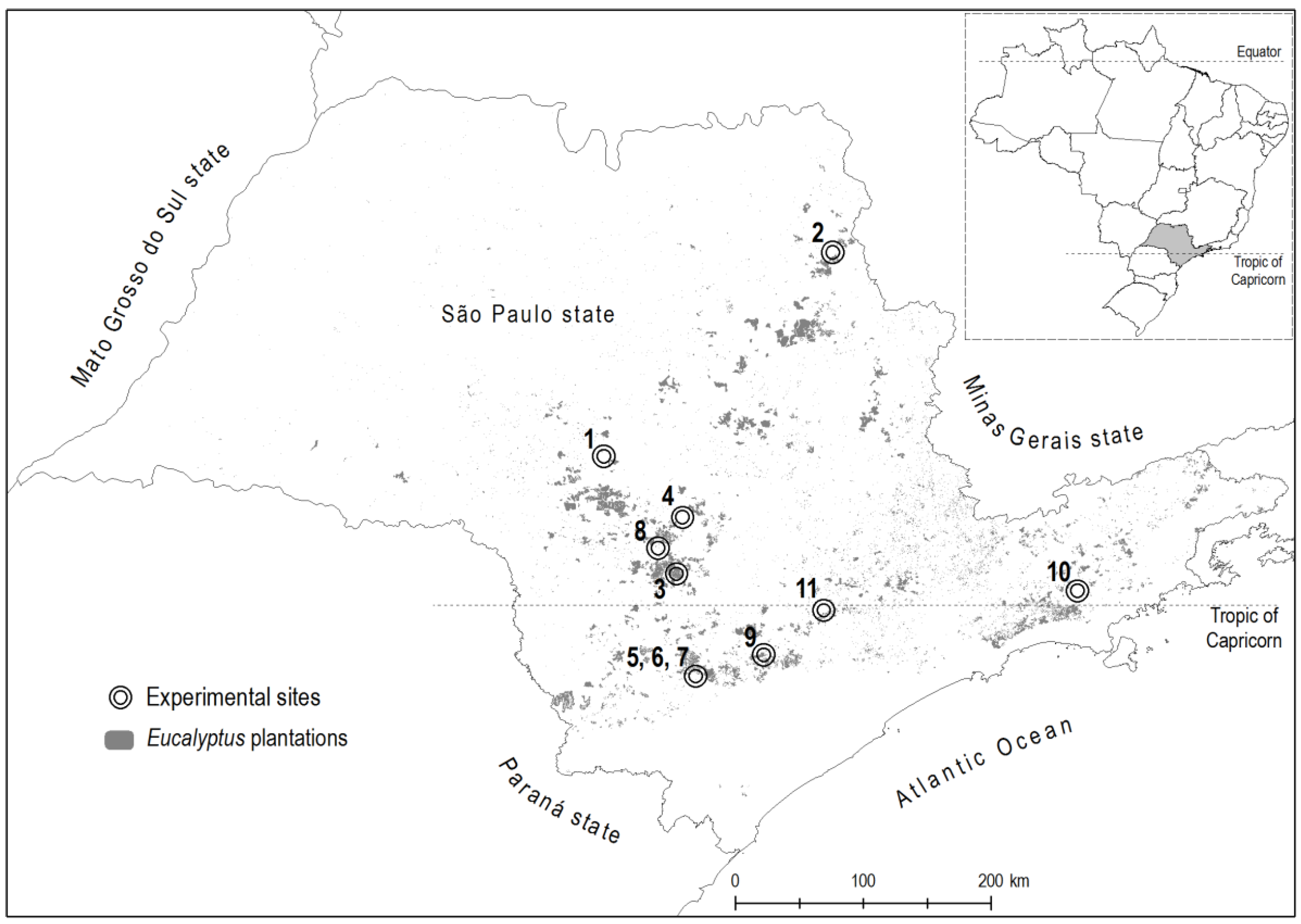 Forests 06 00973 g001