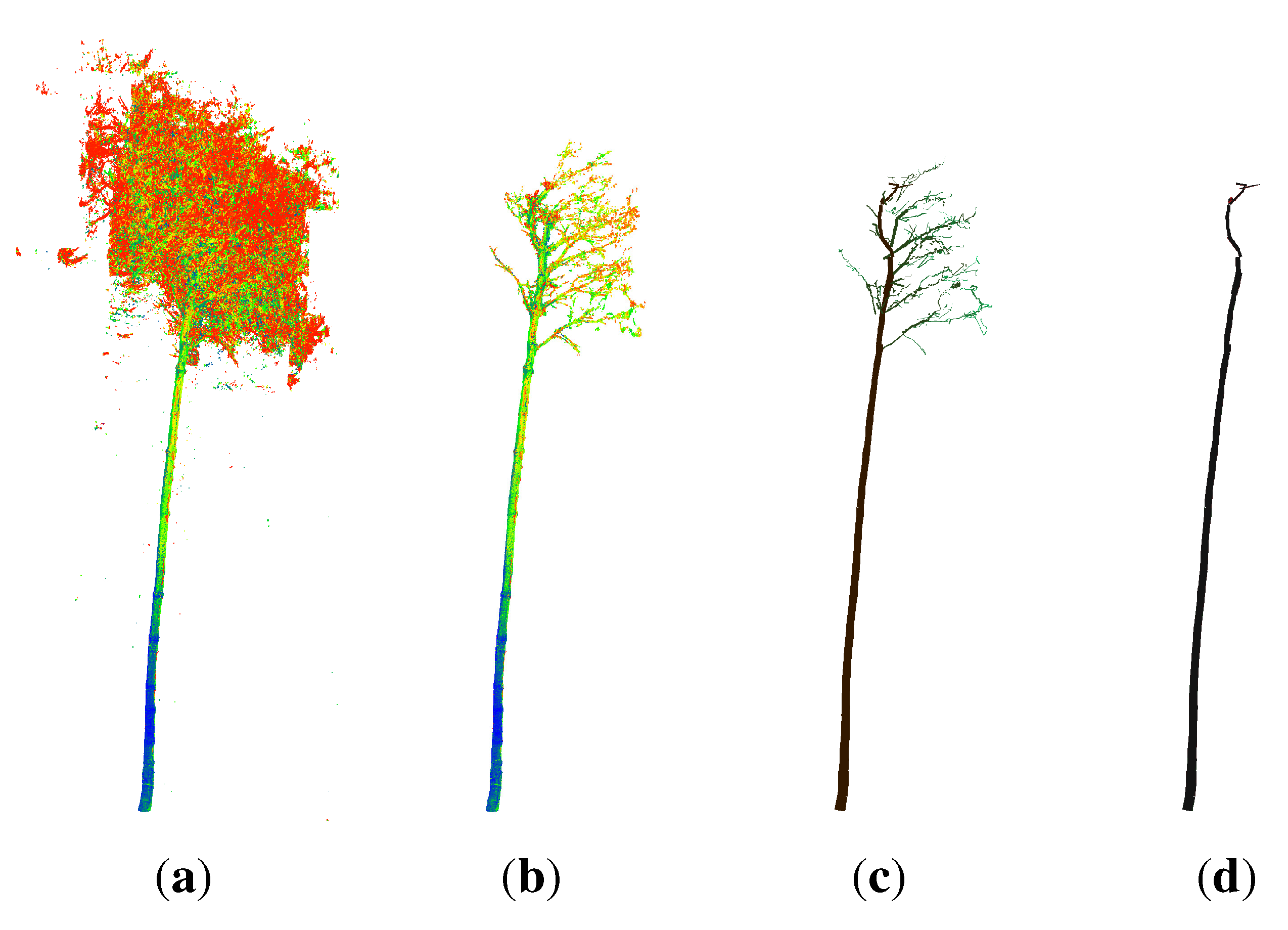 Forests 06 01274 g012 1024