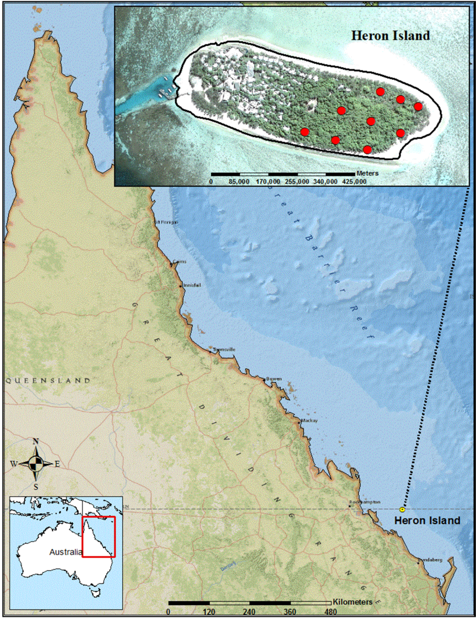 Forests 06 01557 g001