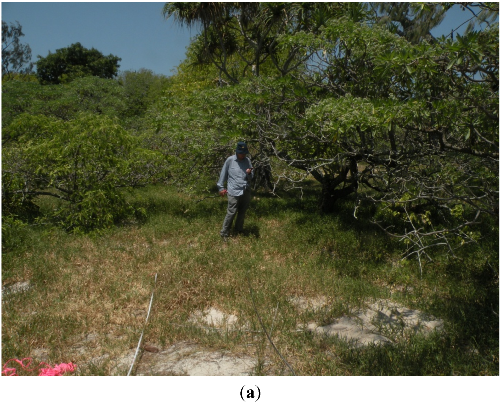 Forests 06 01557 g007a