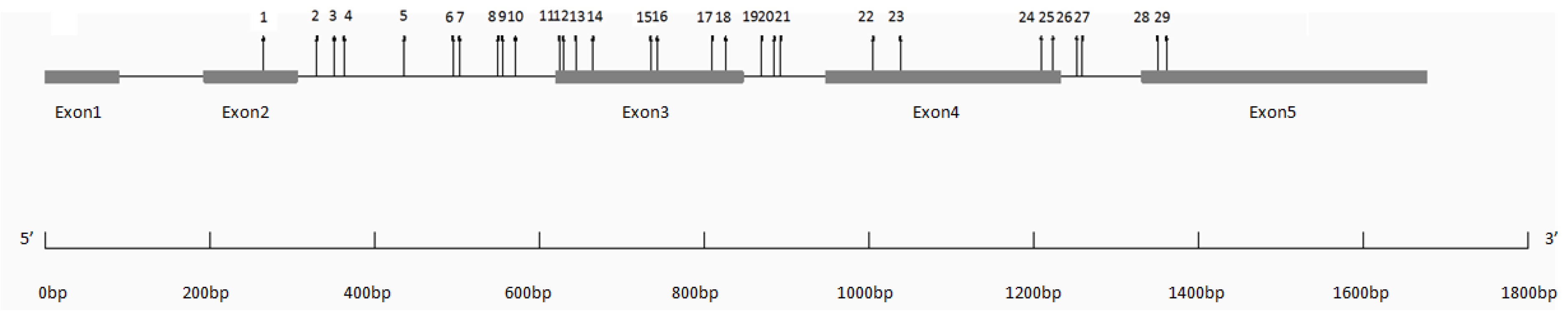 Forests 06 01649 g001 1024