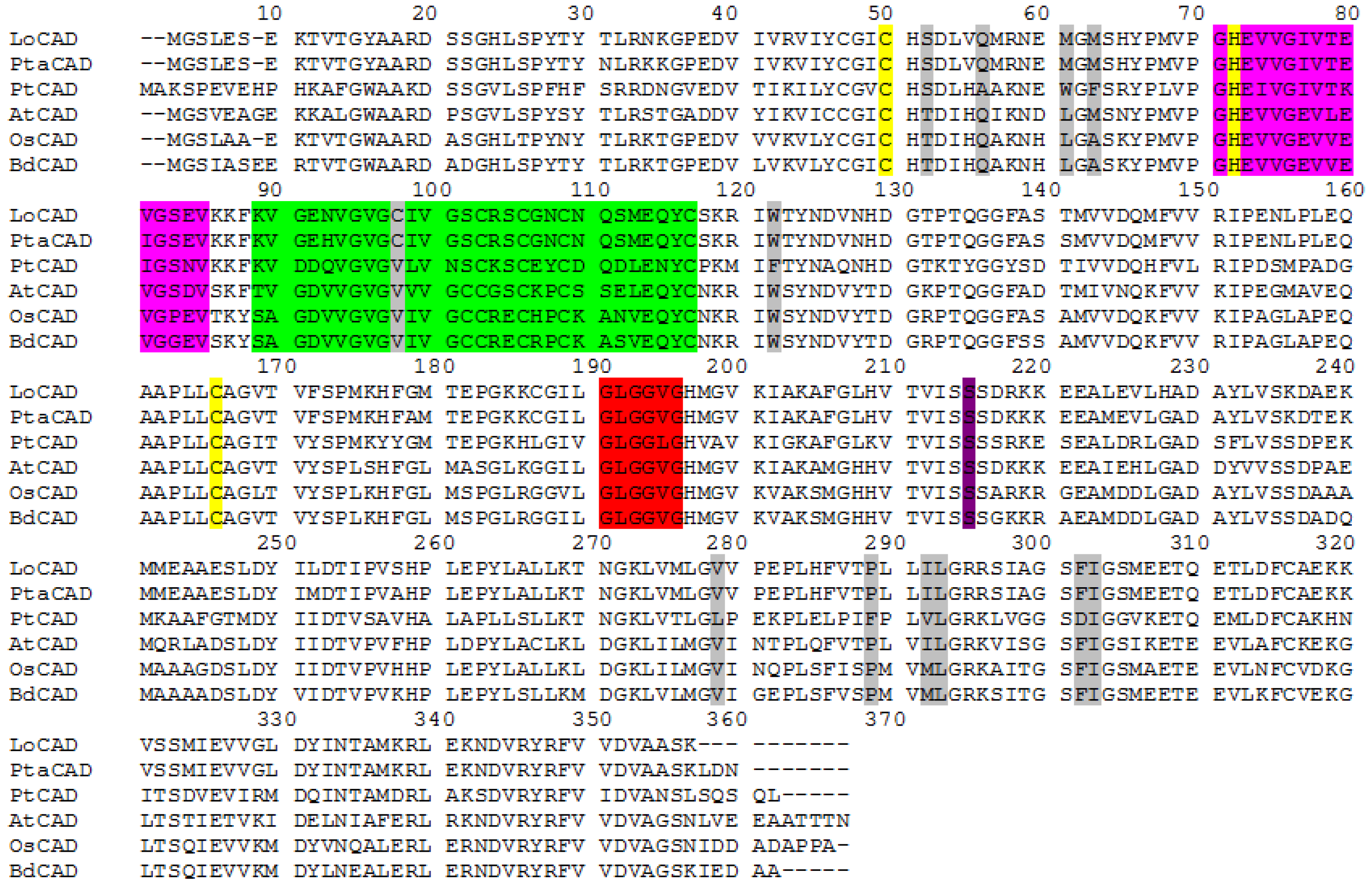 Forests 06 01649 g002 1024