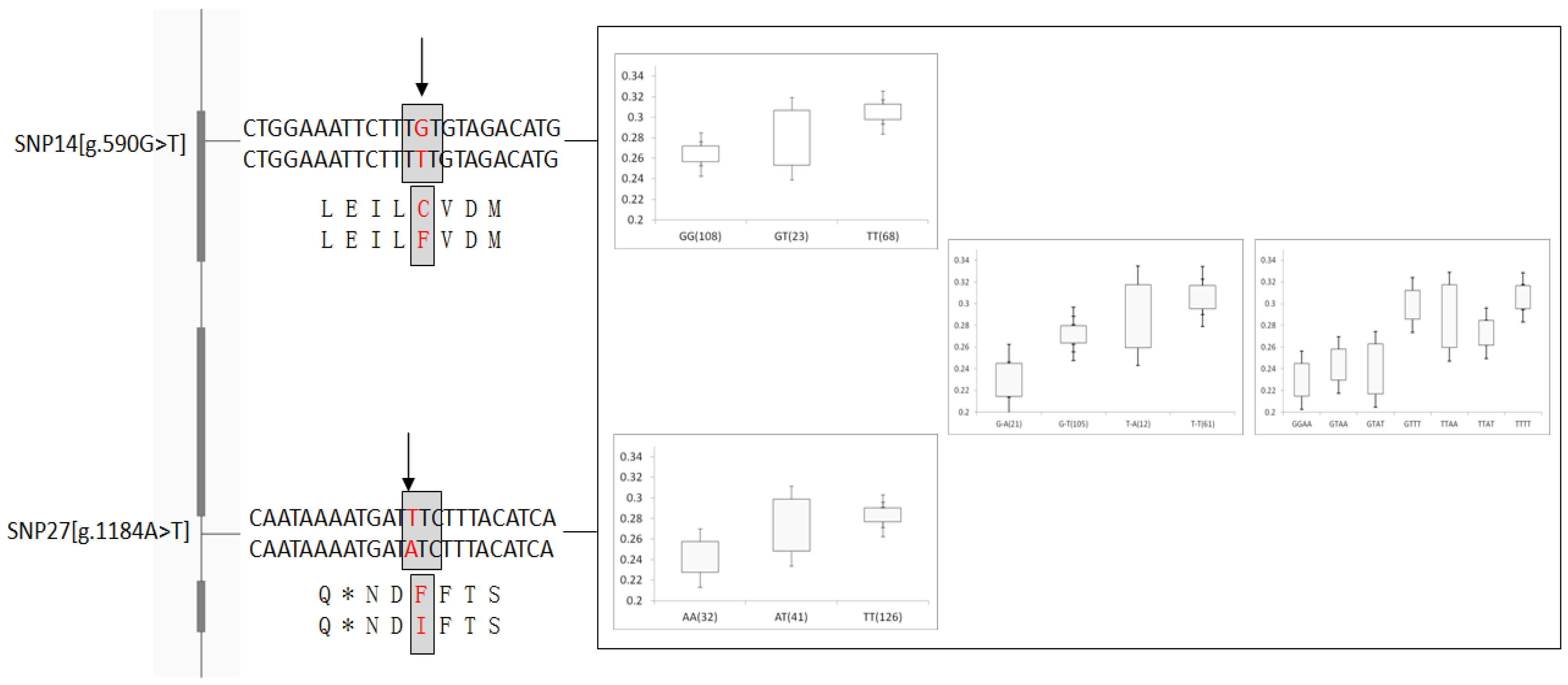 Forests 06 01649 g004 1024
