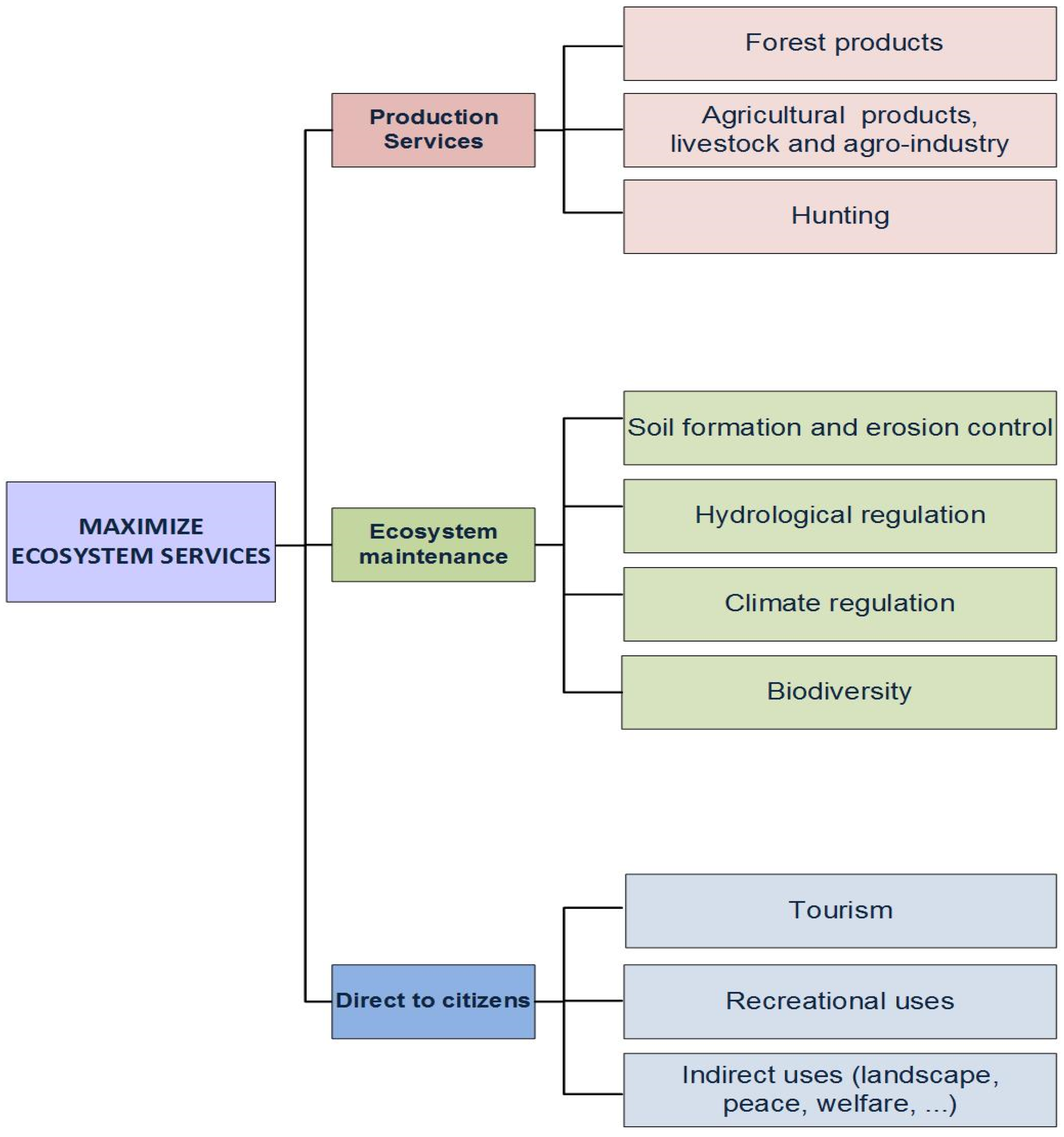 Forests 06 01696 g003 1024