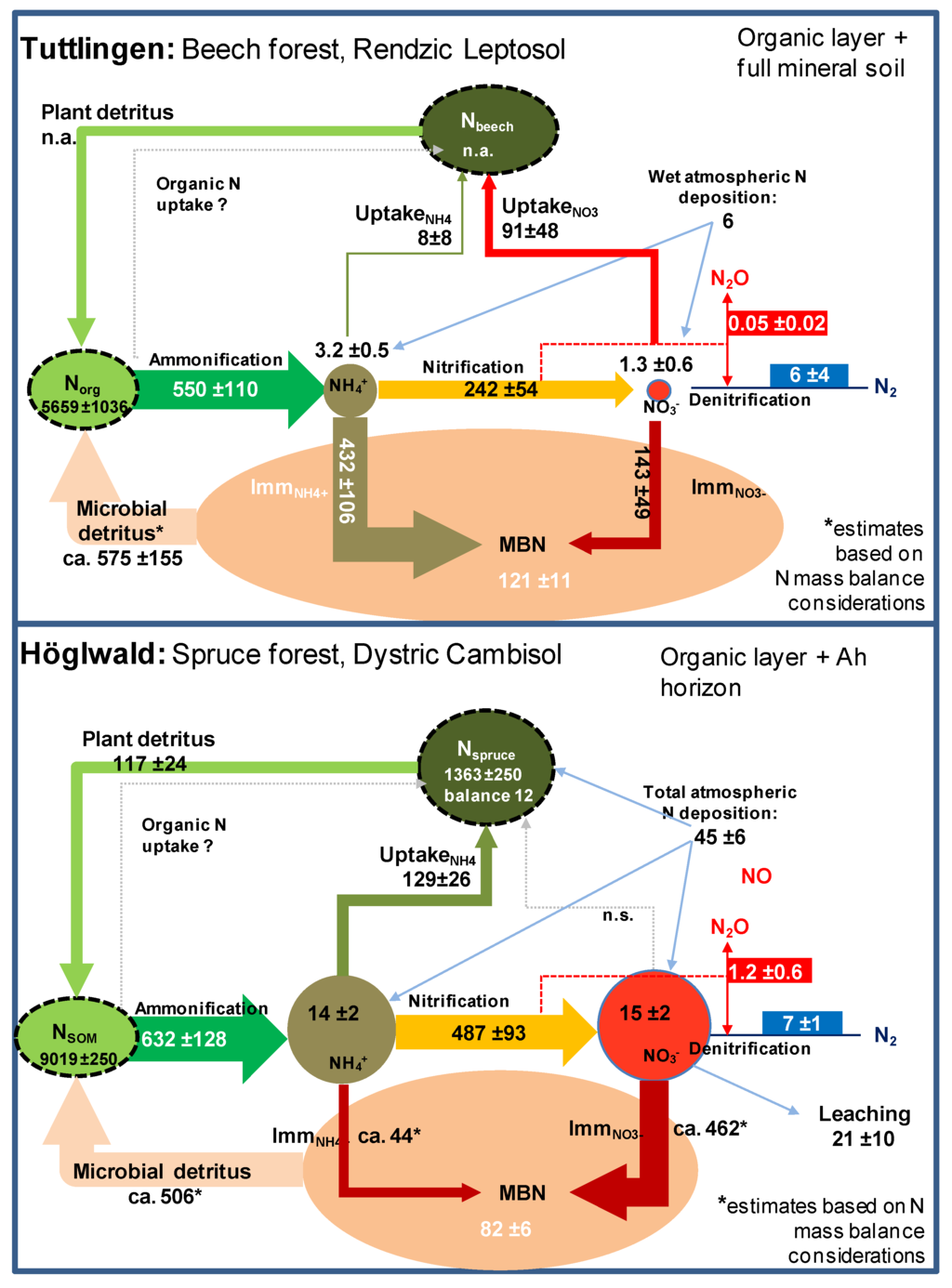 Forests Free FullText Nitrogen Nutrition of Trees in Temperate