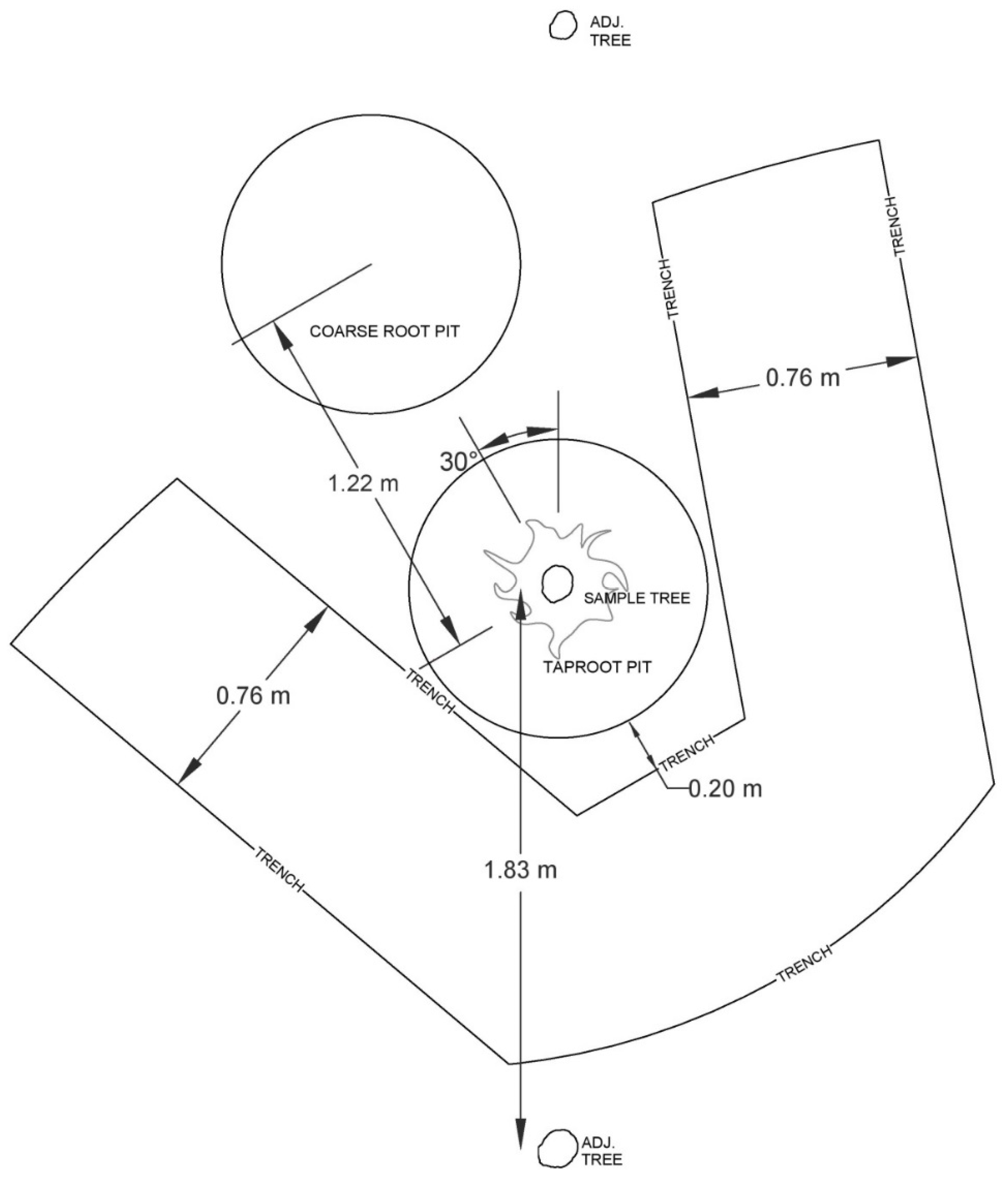Forests 06 03547 g002