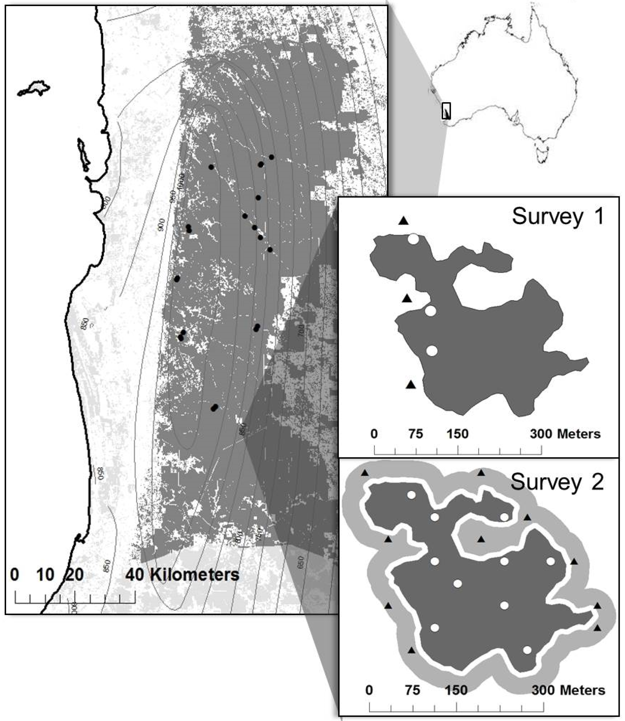 Forests 06 03868 g001